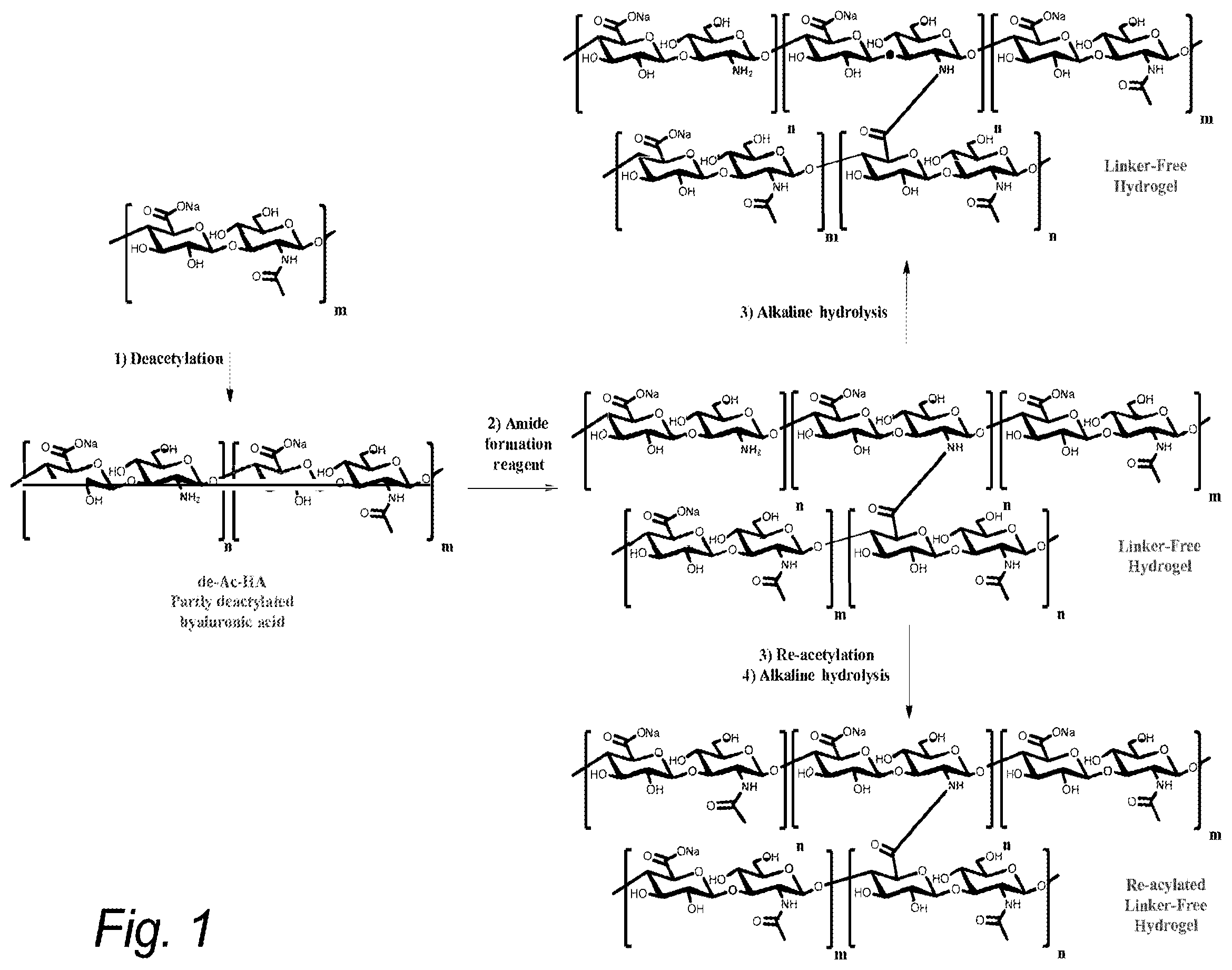 Patent US12365768 Figure 1 – Method for deacetylation of biopolymers
