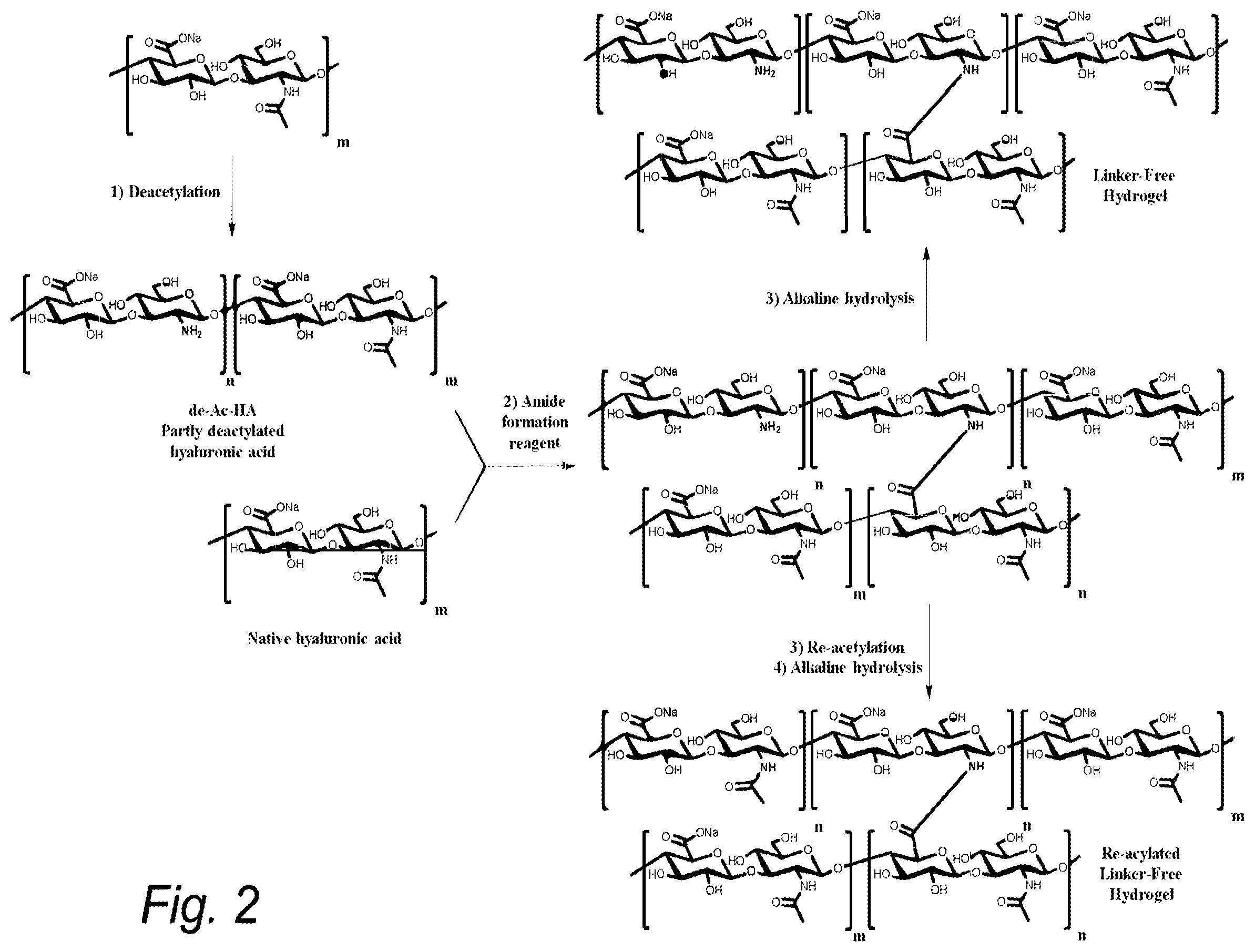 Patent US12365768 Figure 2 – Method for deacetylation of biopolymers