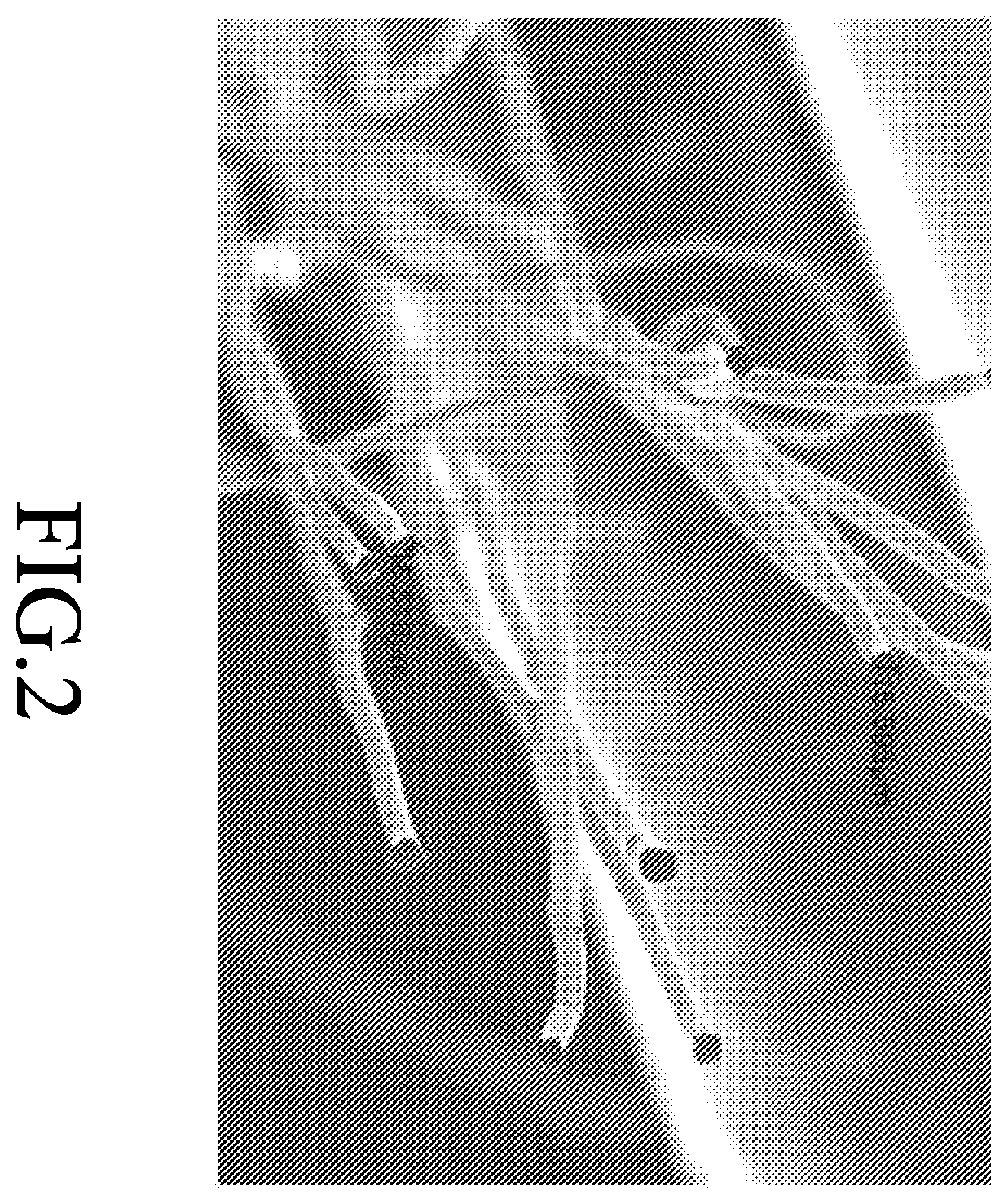 Patent US12365770 Figure 2 – Silica aerogel-containing polyester masterbatch, method for making the same and silica aerogel-containing polyester fiber made from the same