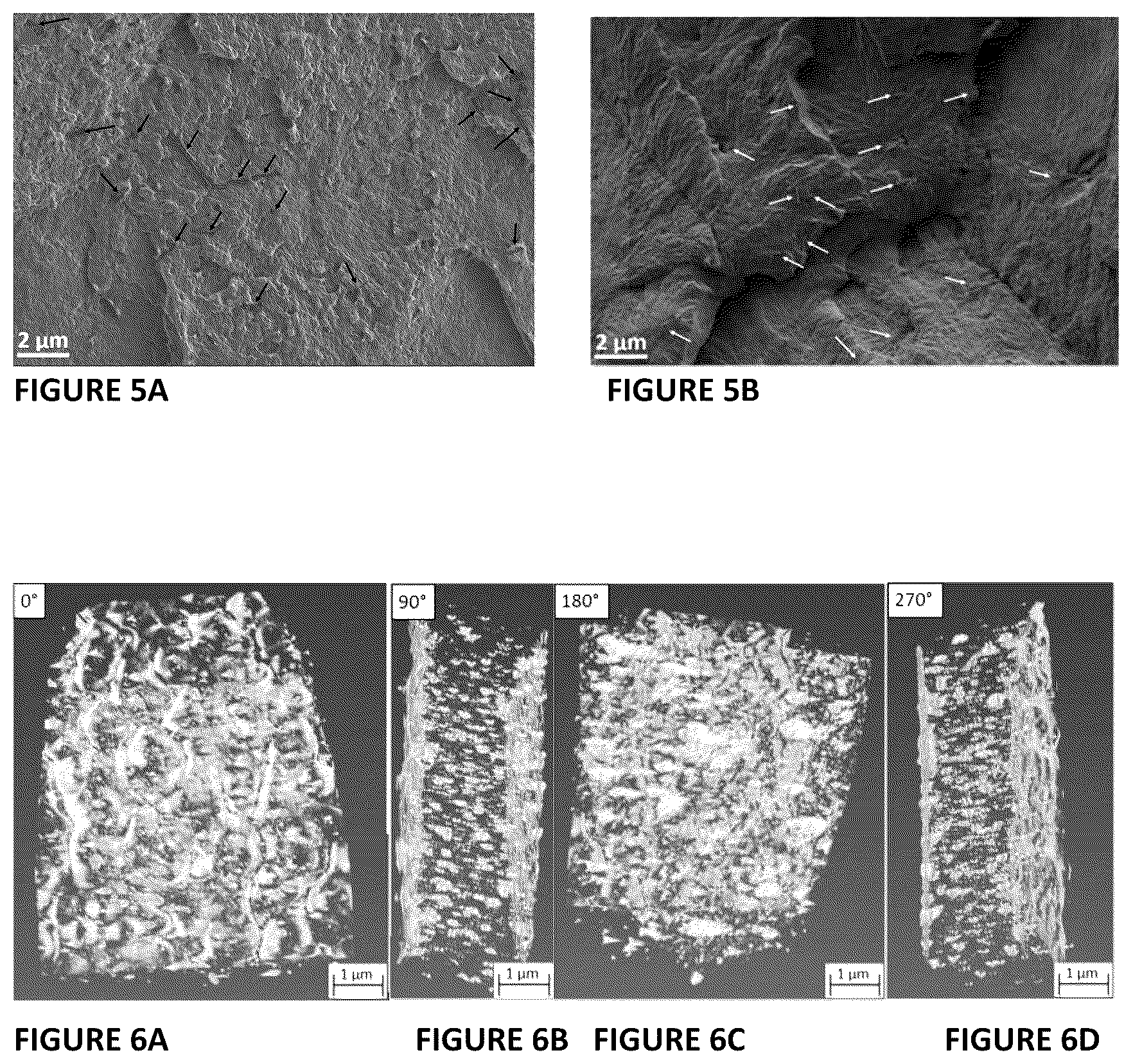 Patent US12365794 Figure 5 – Nanocomposites comprising biodegradable polymers and inorganic nanoparticles, methods of preparation and uses thereof