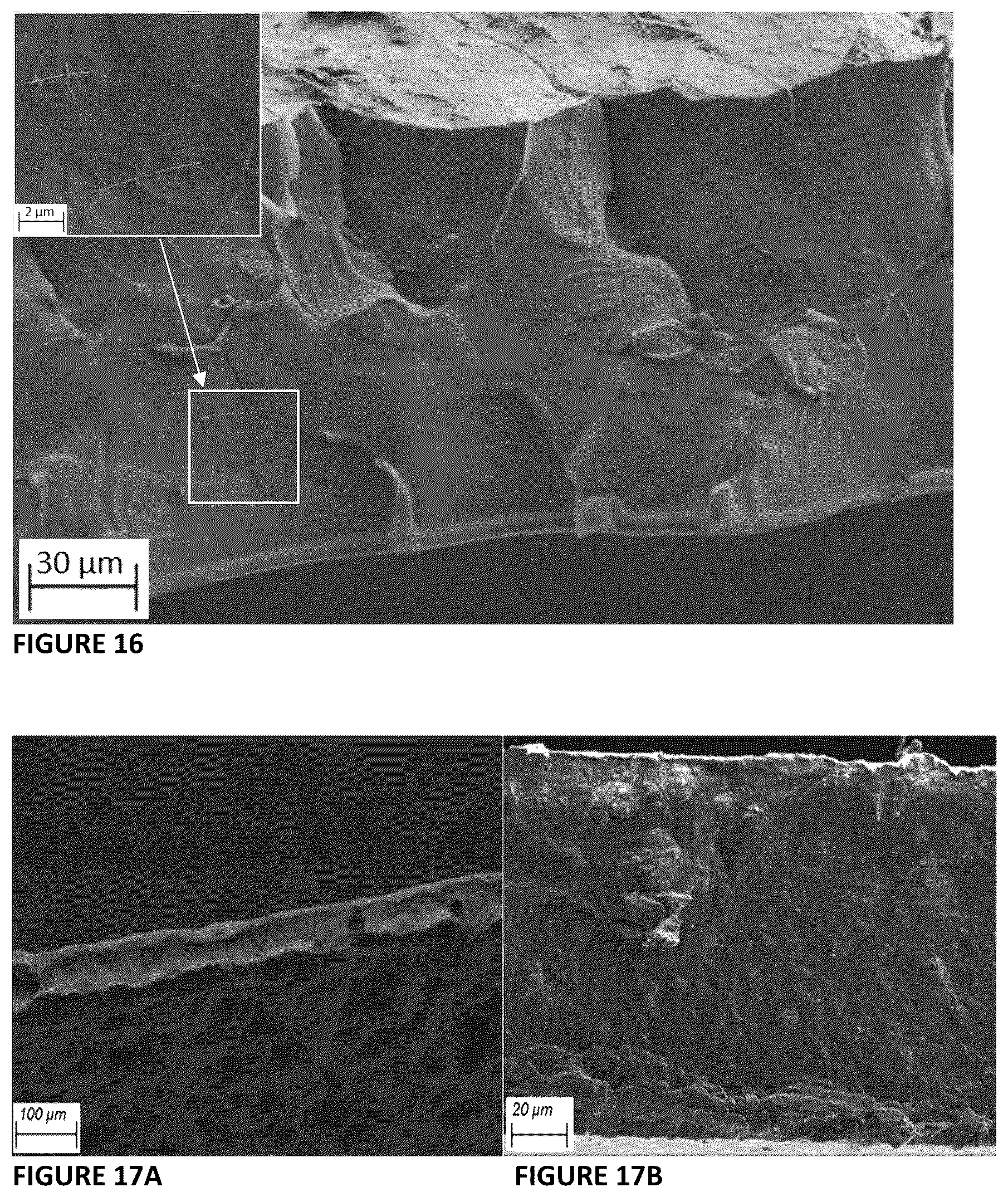 Patent US12365794 Figure 9 – Nanocomposites comprising biodegradable polymers and inorganic nanoparticles, methods of preparation and uses thereof
