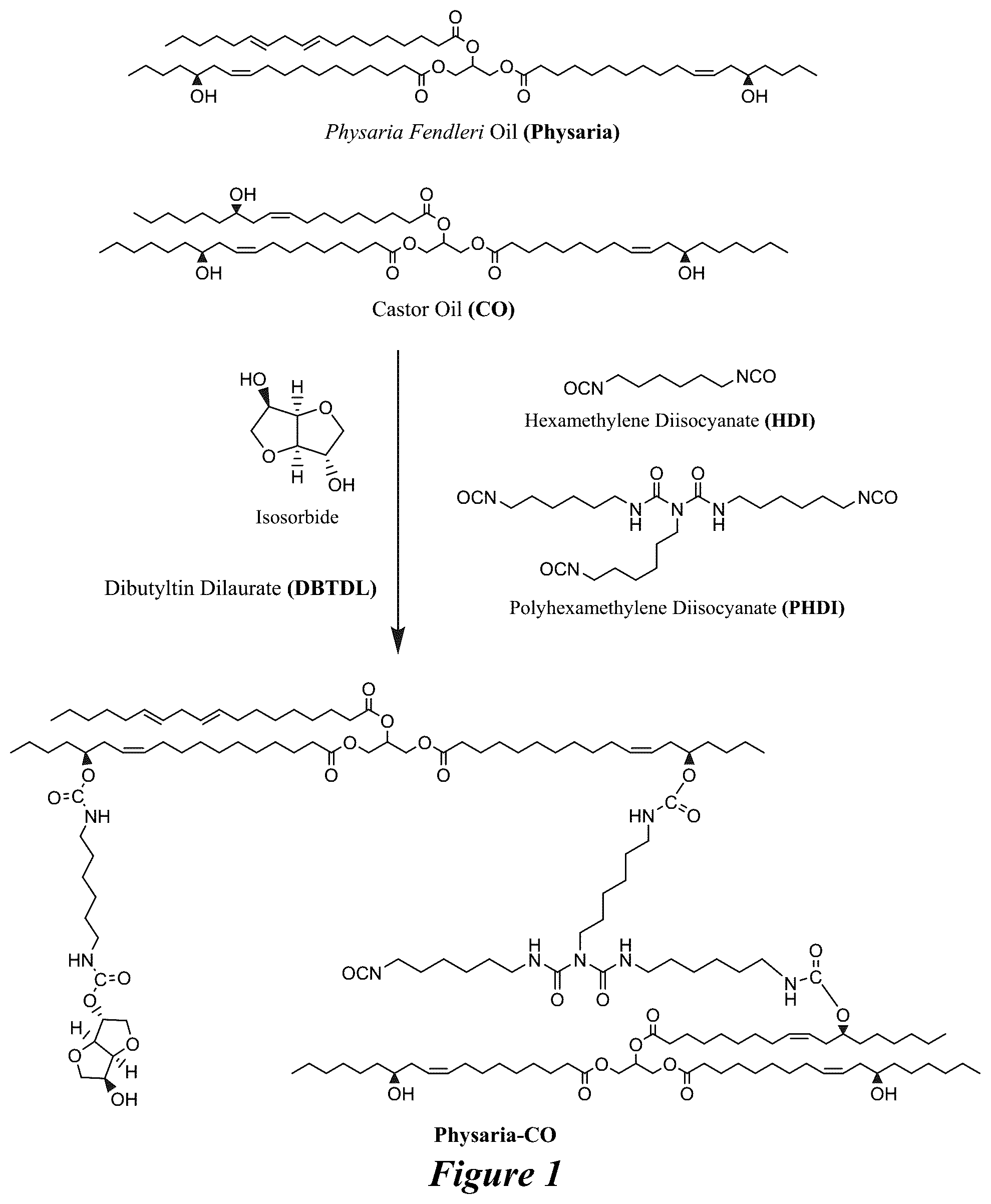 Patent US12365821 Figure 1 – Bio-based coatings and adhesives using oils of Physaria fendleri and Euphorbia Lagascae