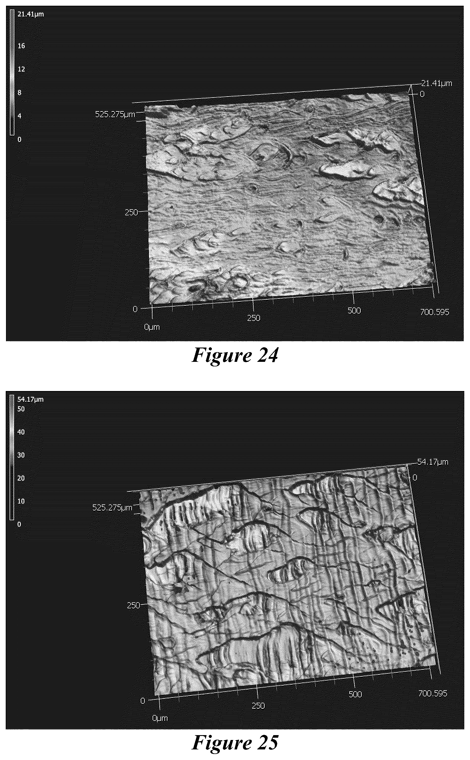 Patent US12365821 Figure 17 – Bio-based coatings and adhesives using oils of Physaria fendleri and Euphorbia Lagascae