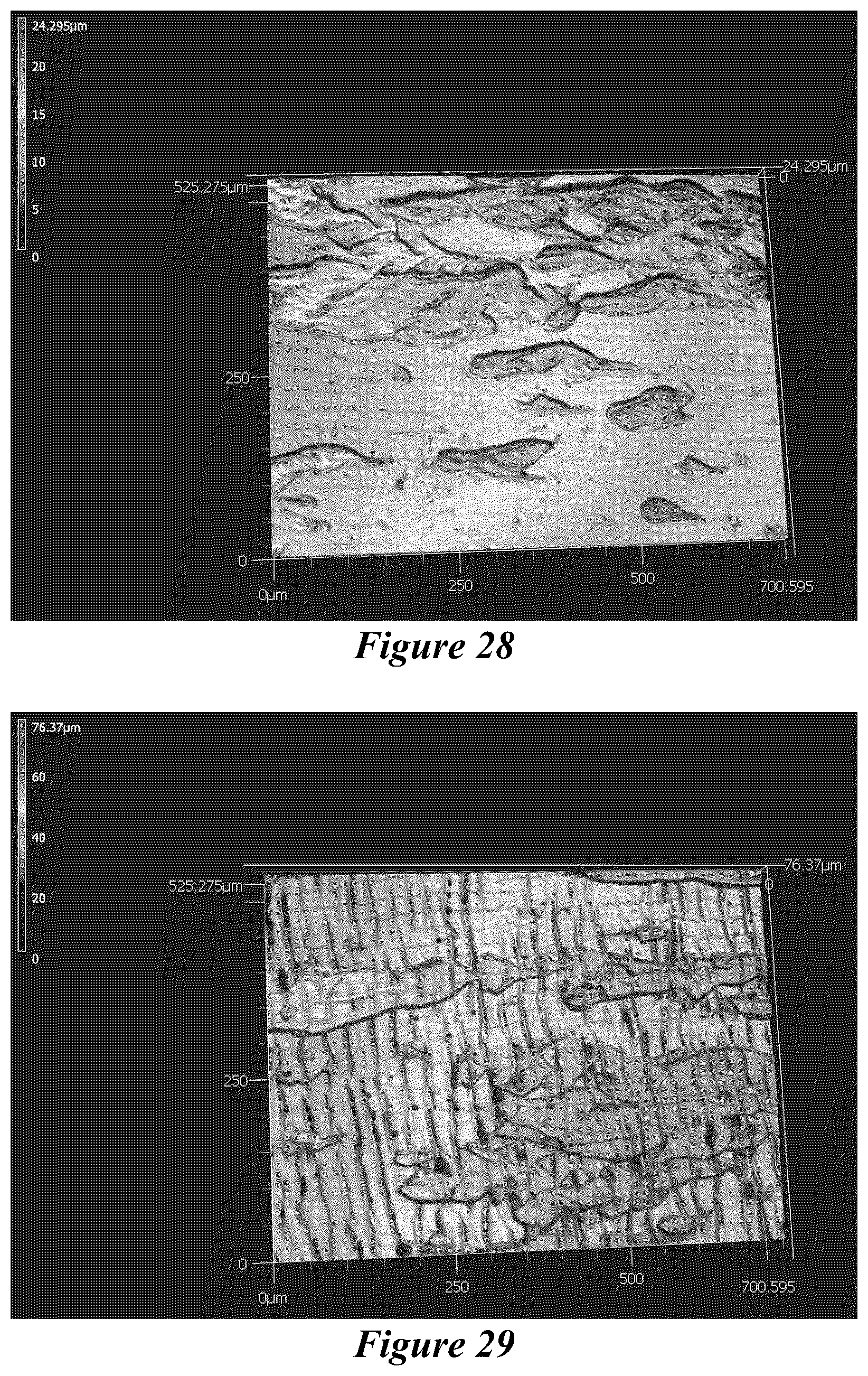 Patent US12365821 Figure 19 – Bio-based coatings and adhesives using oils of Physaria fendleri and Euphorbia Lagascae