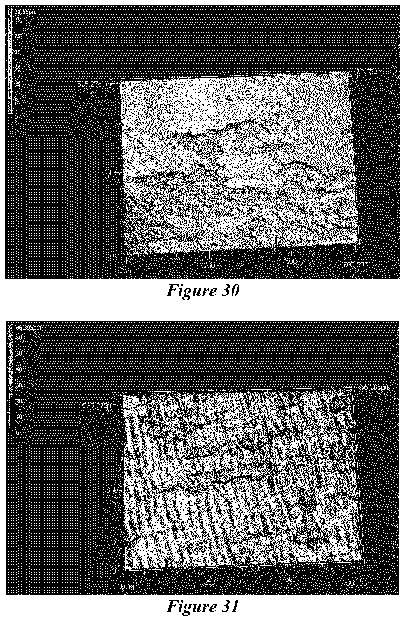 Patent US12365821 Figure 20 – Bio-based coatings and adhesives using oils of Physaria fendleri and Euphorbia Lagascae