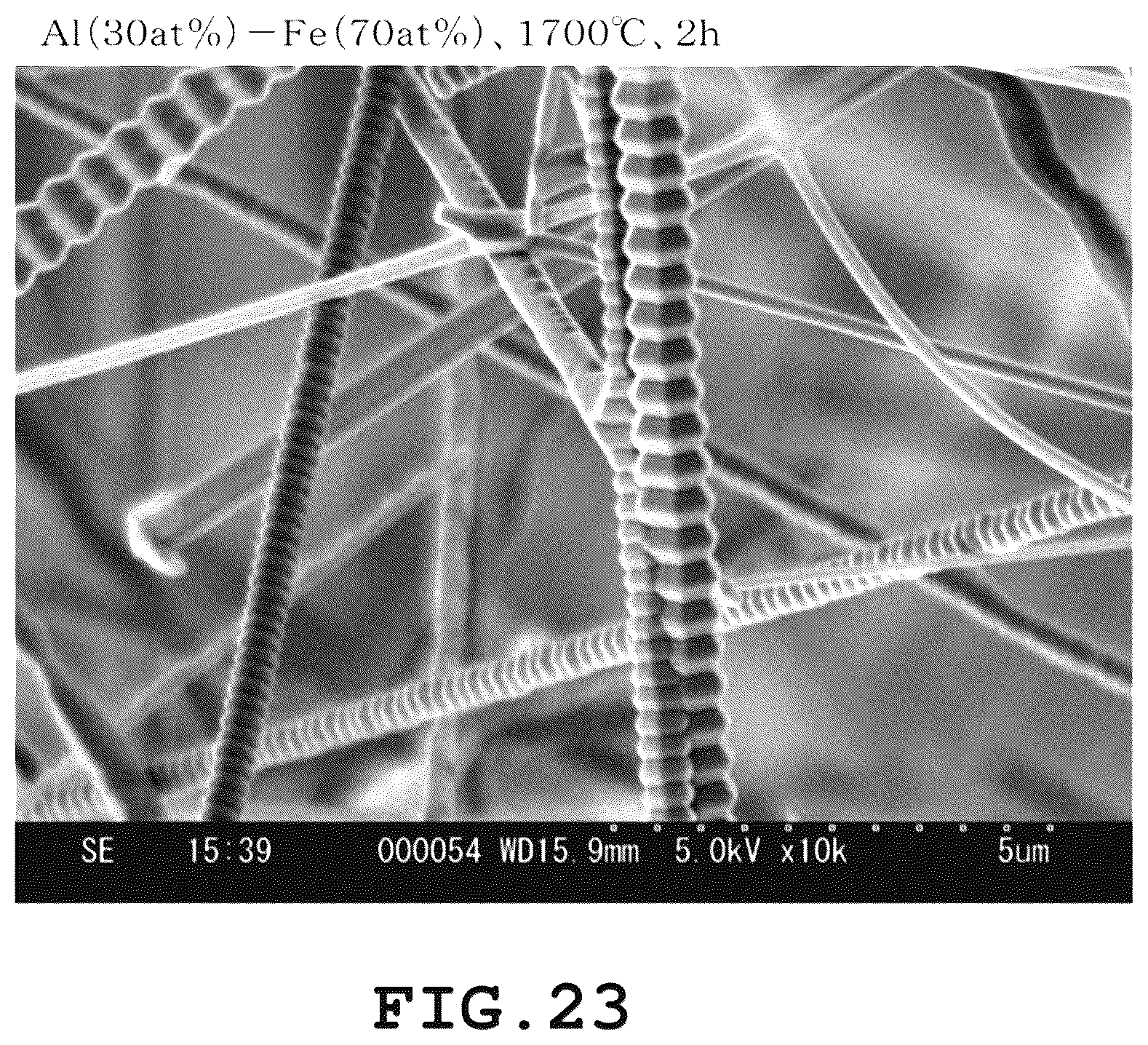Patent US12365823 Figure 18 – AlN crystal preparation method, AlN crystals, and organic compound including AlN crystals