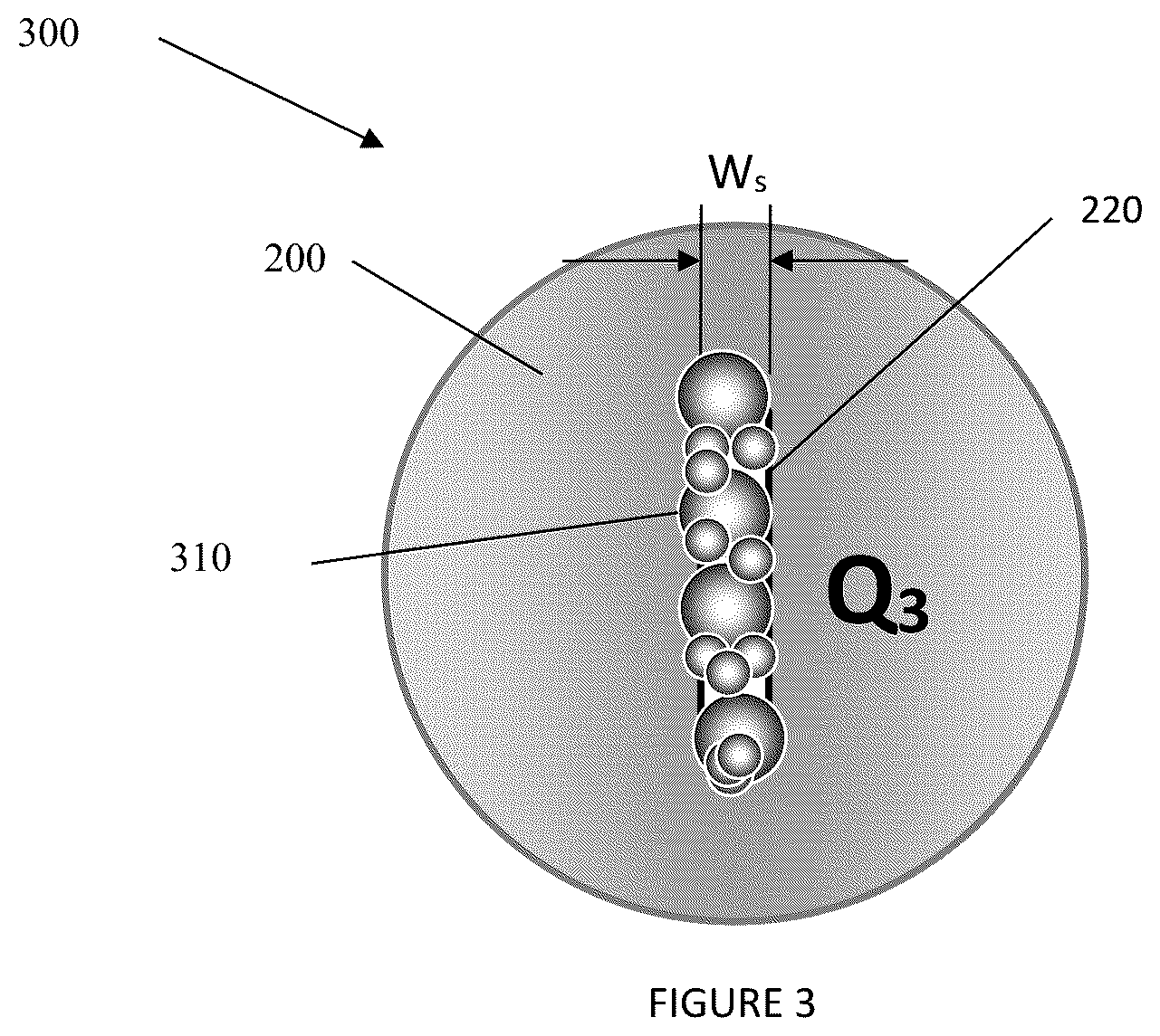 Patent US12365825 Figure 3 – Methods and systems to determine a concentration of sealing particulates in drilling fluid