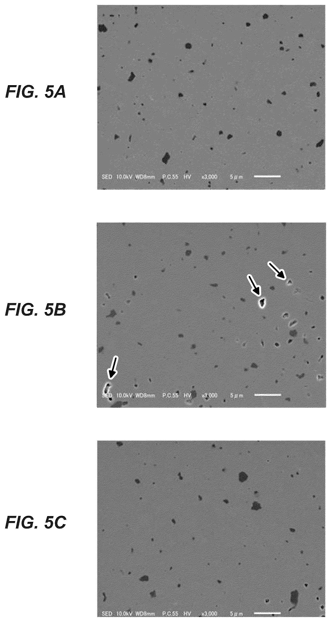 Patent US12365837 Figure 5 – Wavelength conversion member