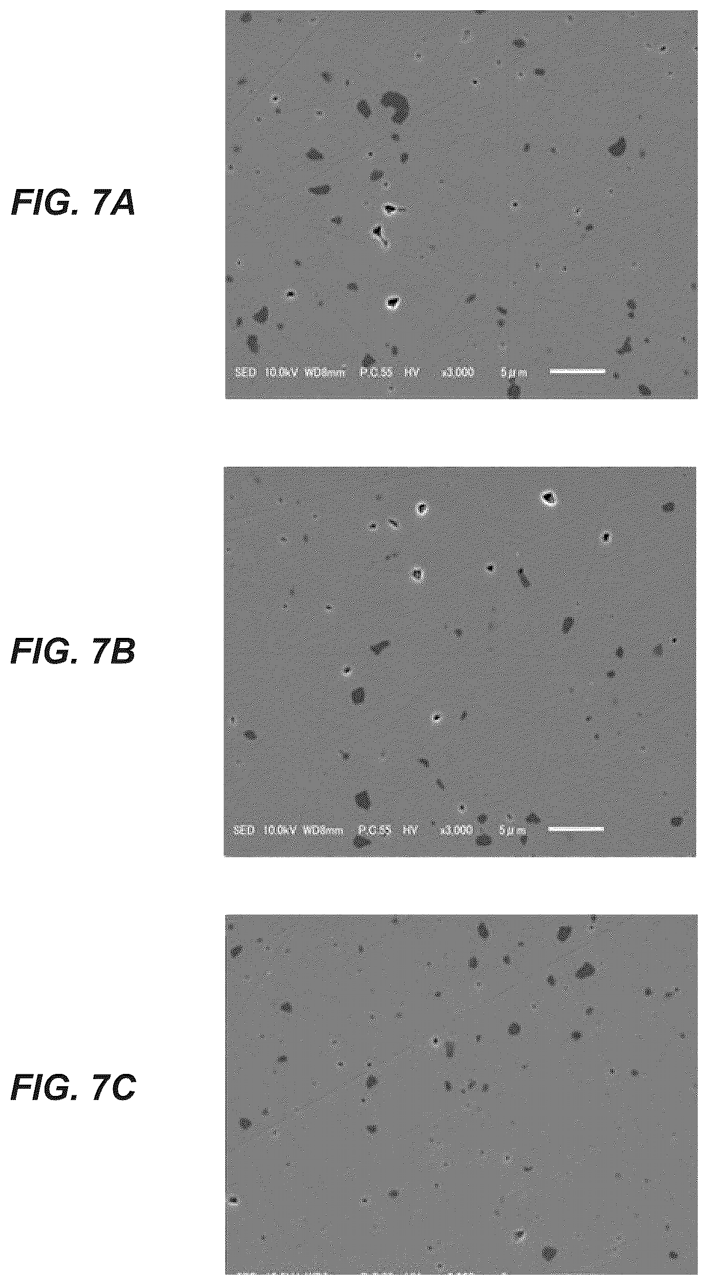 Patent US12365837 Figure 7 – Wavelength conversion member