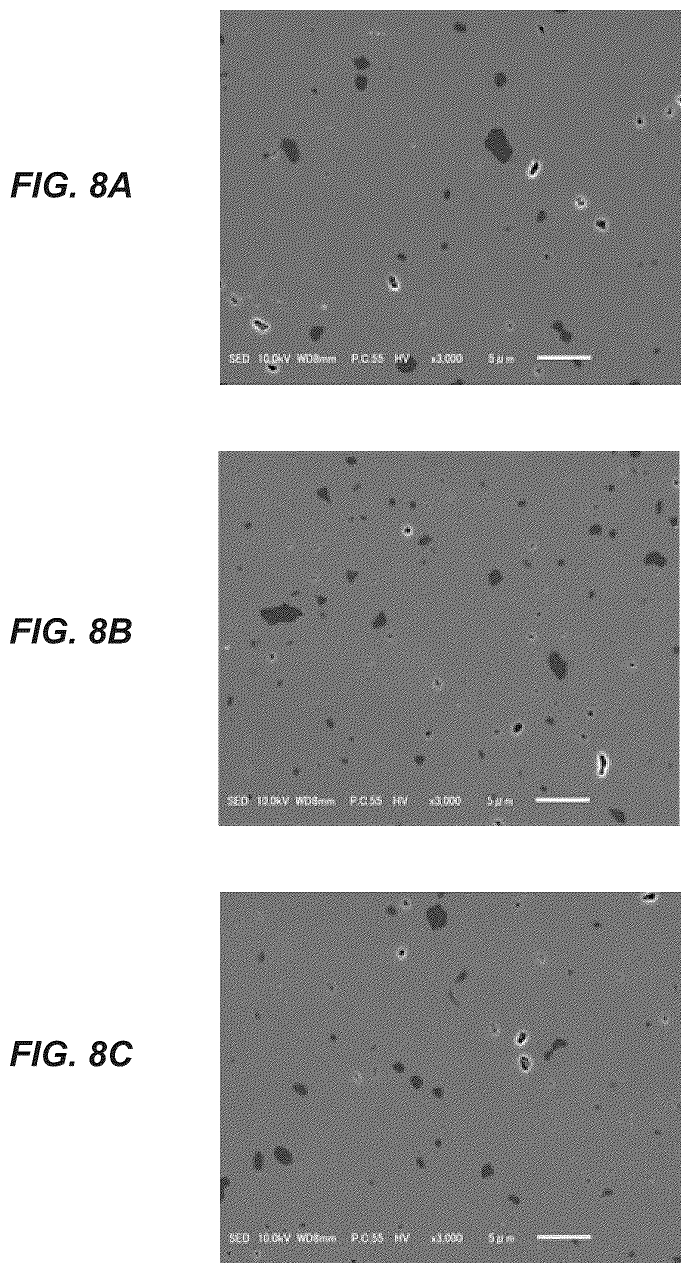 Patent US12365837 Figure 8 – Wavelength conversion member