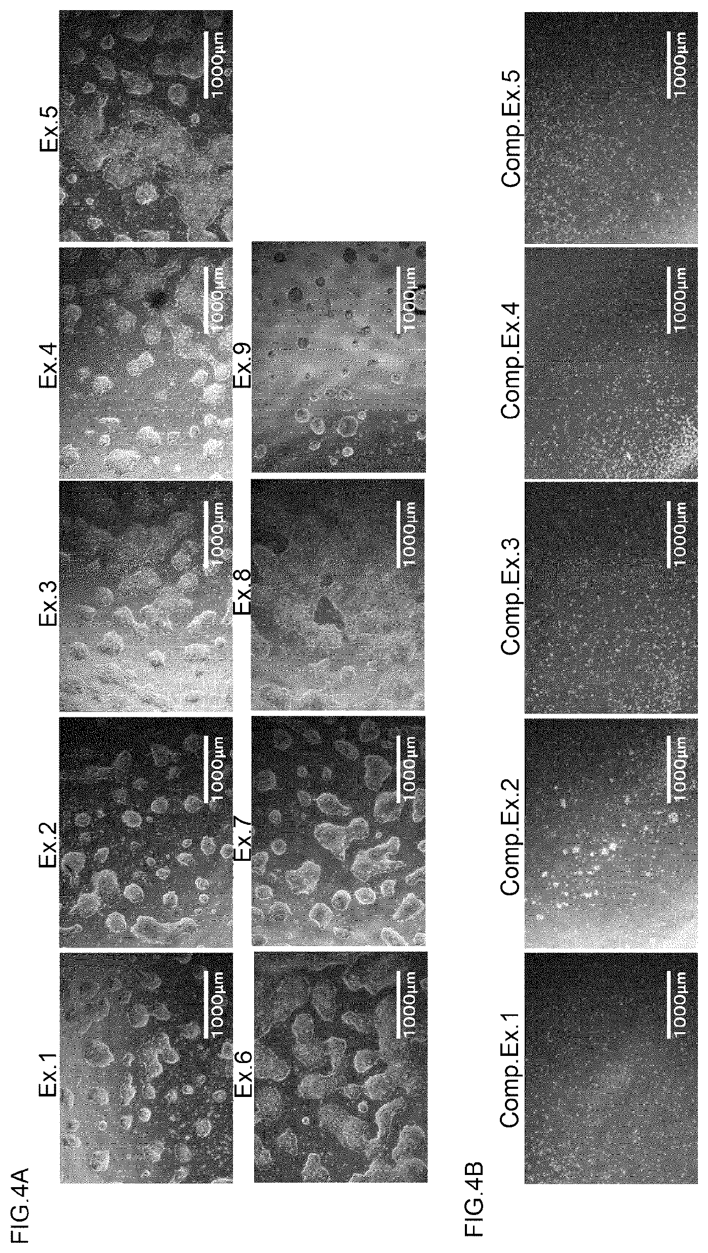 Patent US12365860 Figure 4 – Scaffolding material for stem cell cultures and stem cell culture method using same