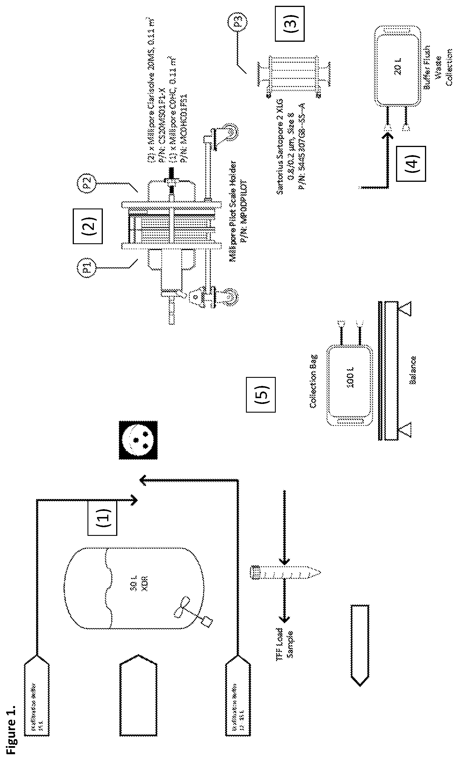 Patent US12365865 Figure 1 – Scalable clarification process for recombinant AAV production