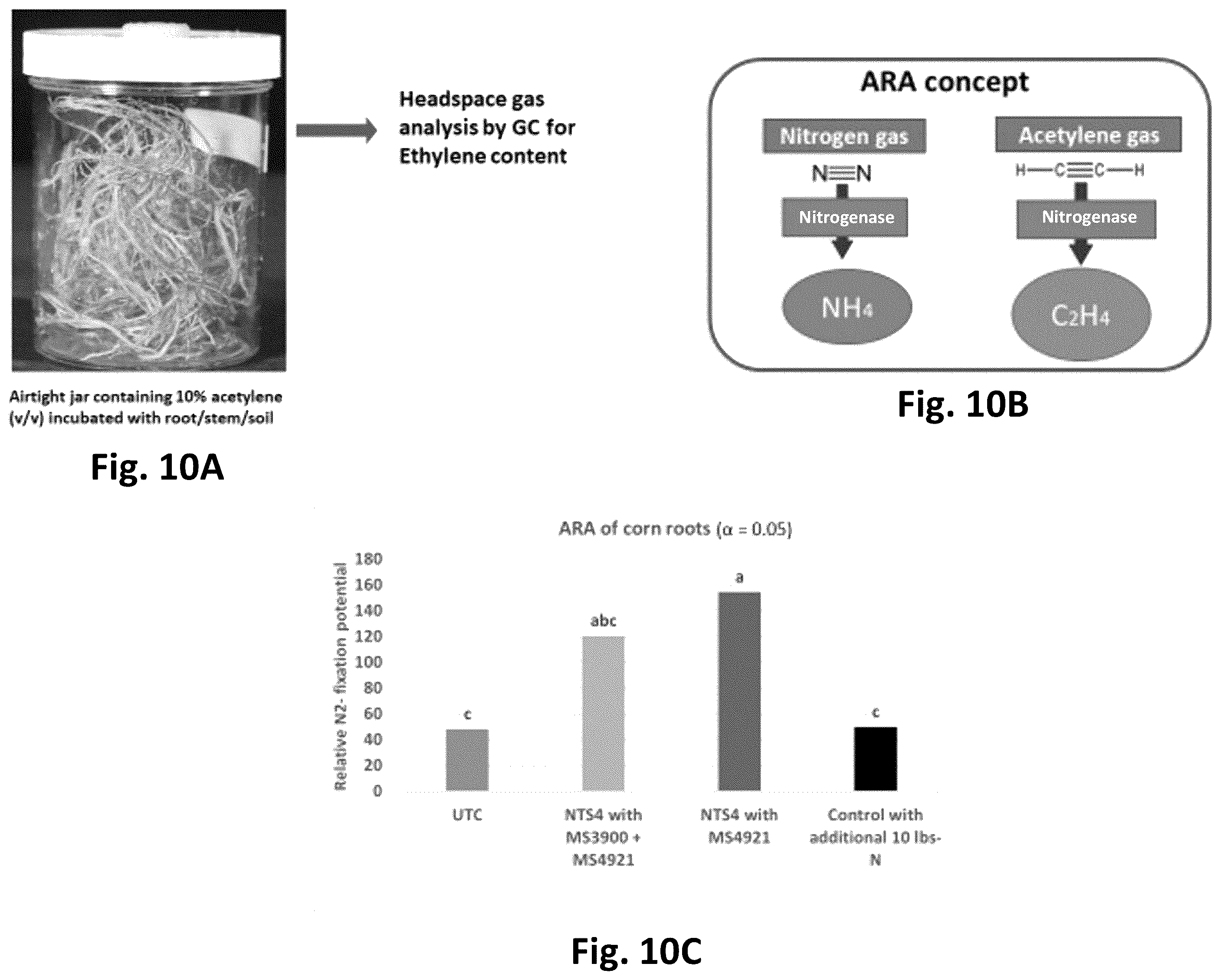 Patent US12365868 Figure 10 – Systems for production of products to promote nitrogen use efficiency in plants