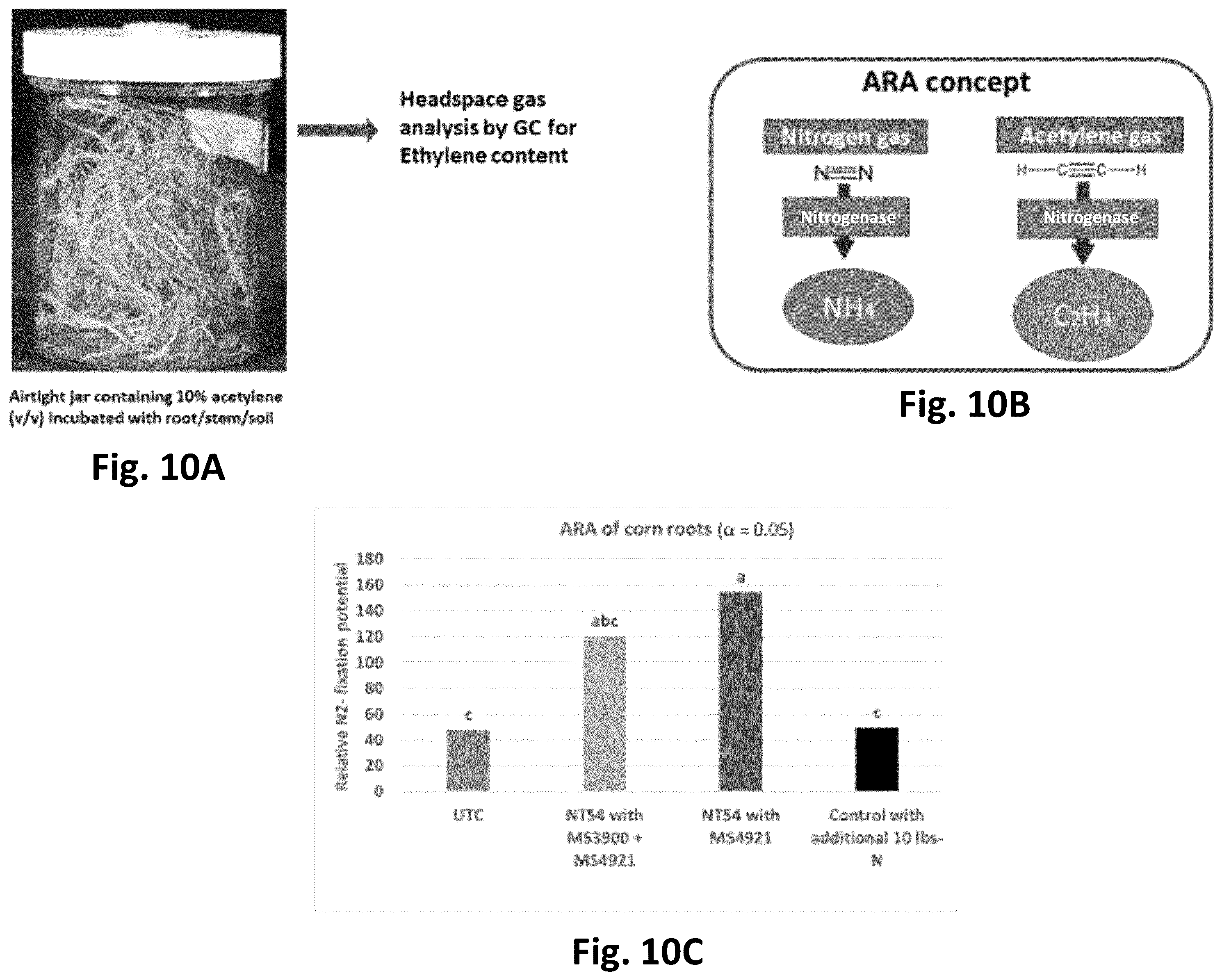 Patent US12365869 Figure 10 – Systems for production of products to promote nitrogen use efficiency in plants