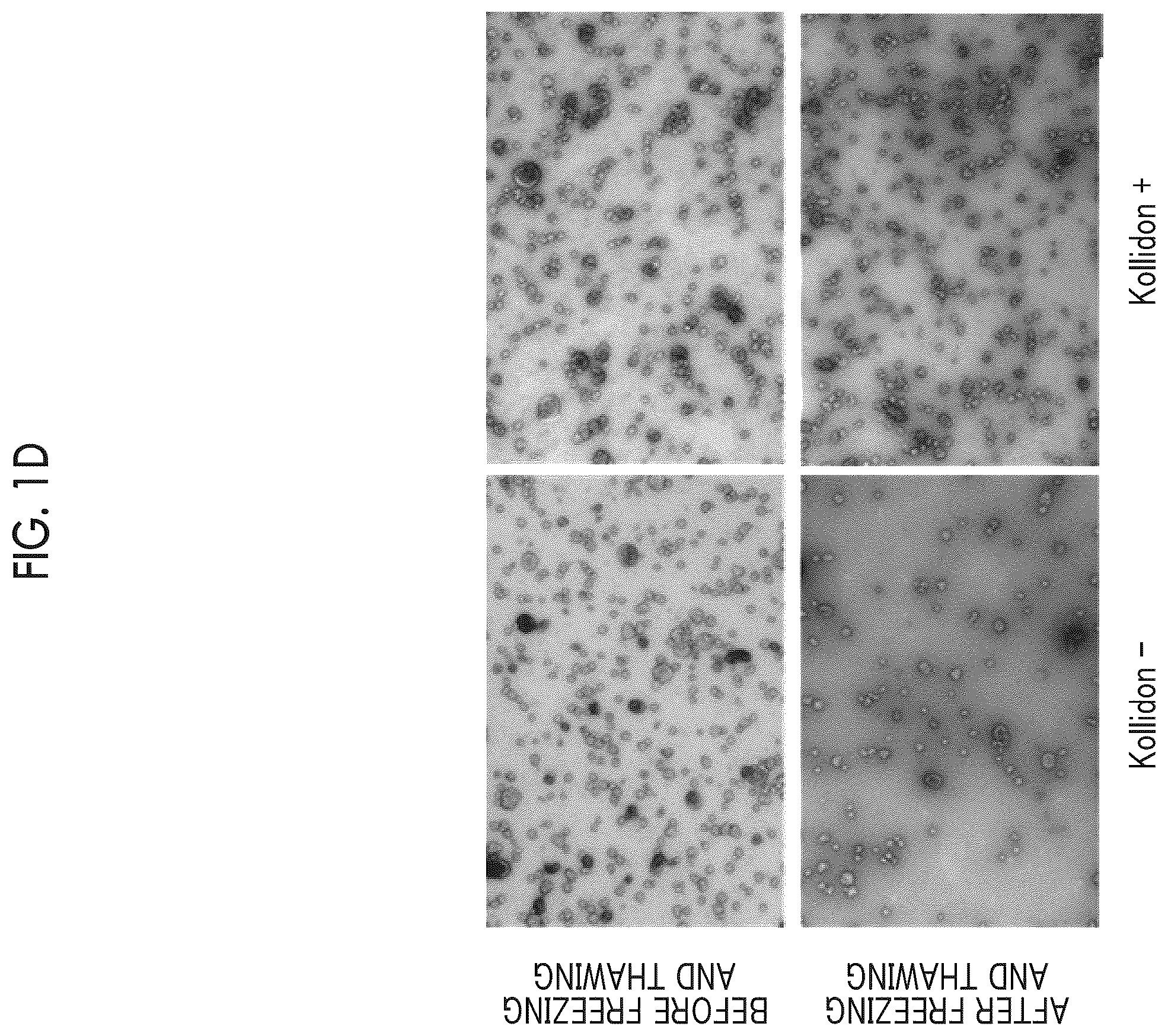 Patent US12365870 Figure 4 – Storage stabilizer for extracellular vesicle and storage stabilization method for extracellular vesicle