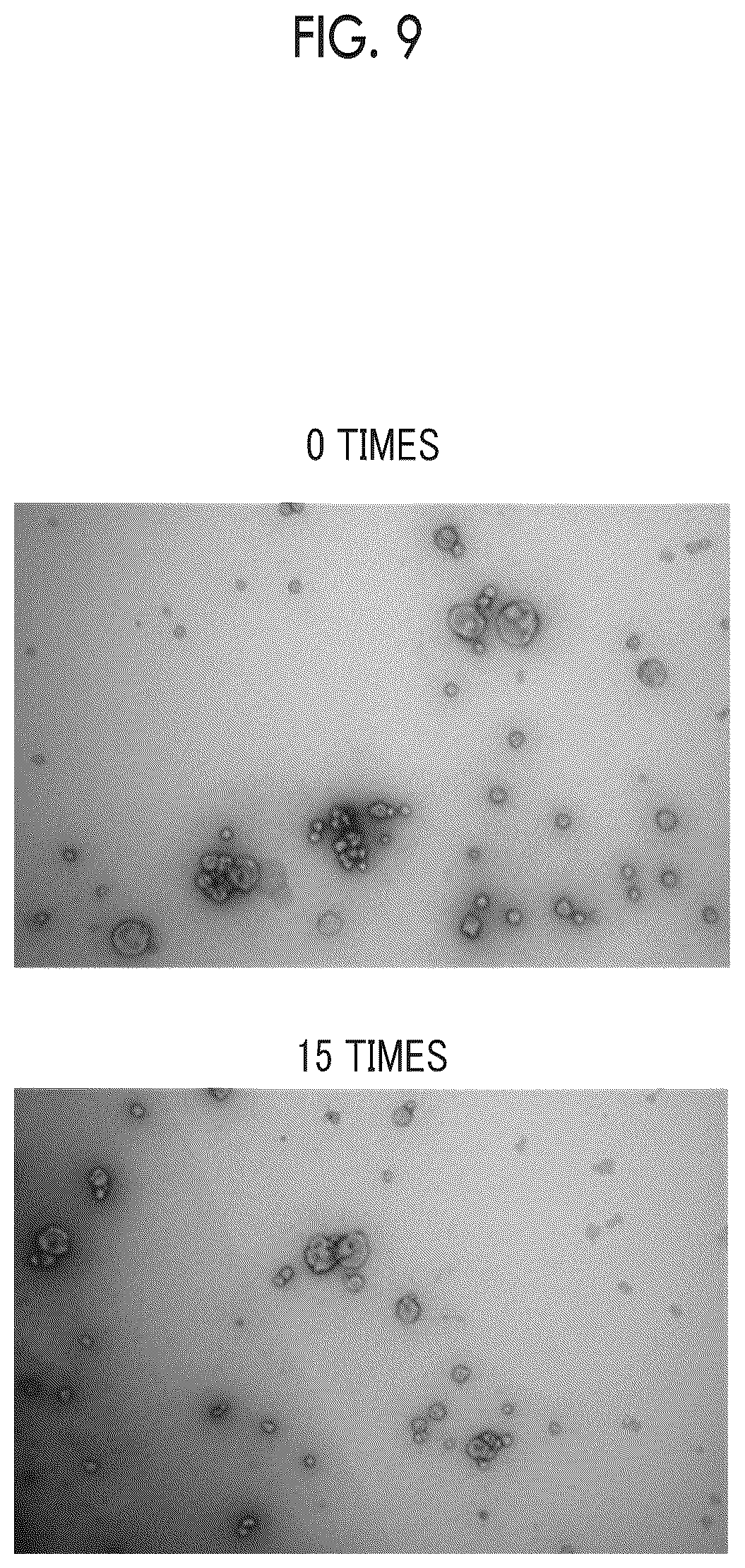 Patent US12365870 Figure 12 – Storage stabilizer for extracellular vesicle and storage stabilization method for extracellular vesicle