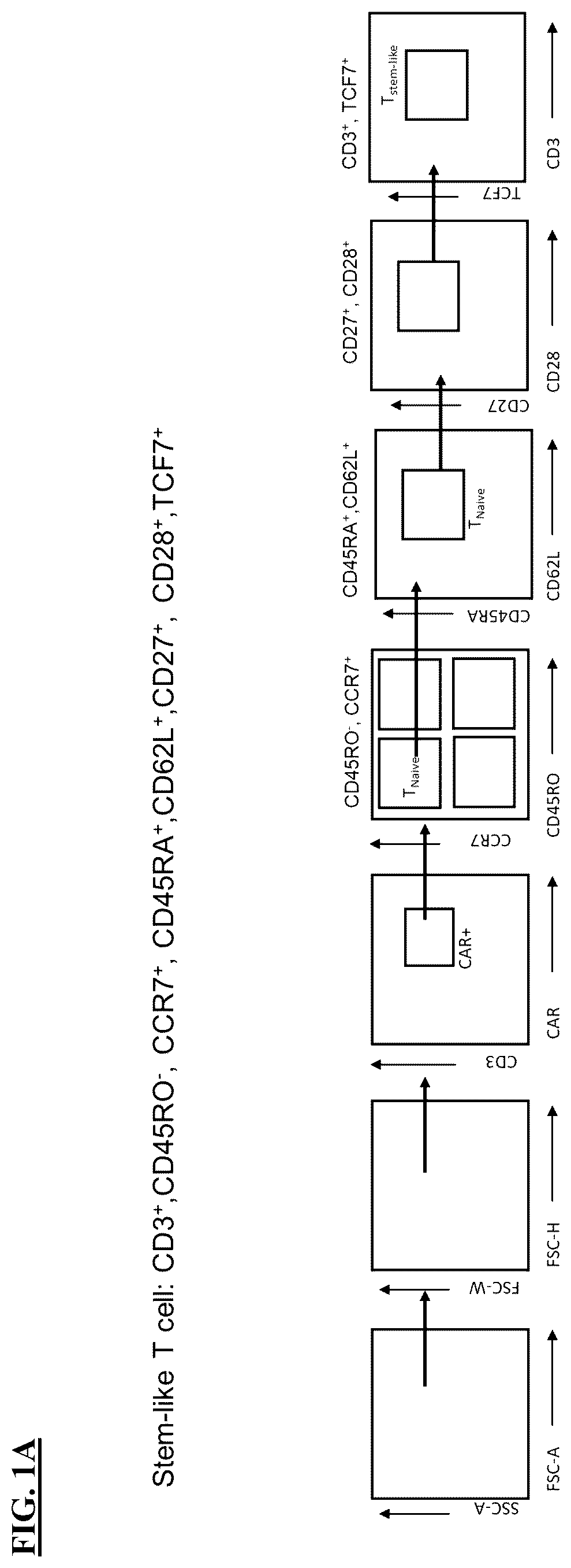 Patent US12365871 Figure 1 – Methods for culturing cells