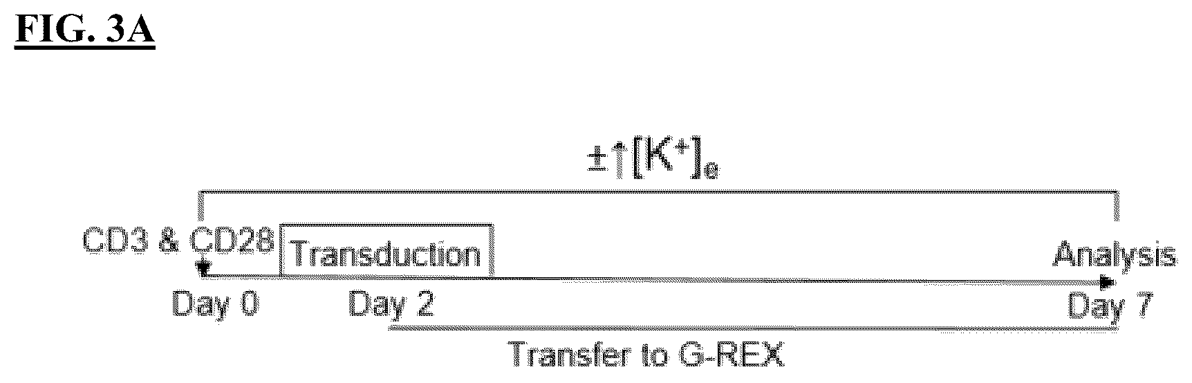 Patent US12365871 Figure 4 – Methods for culturing cells