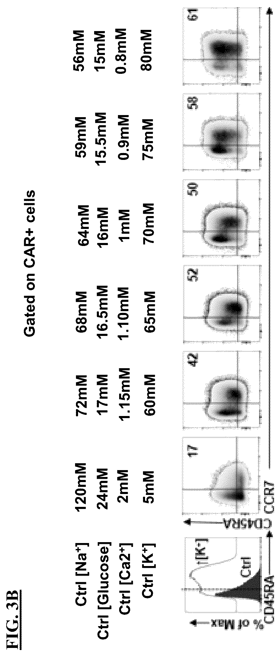 Patent US12365871 Figure 5 – Methods for culturing cells