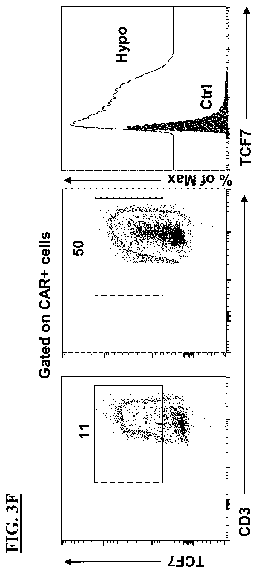 Patent US12365871 Figure 9 – Methods for culturing cells