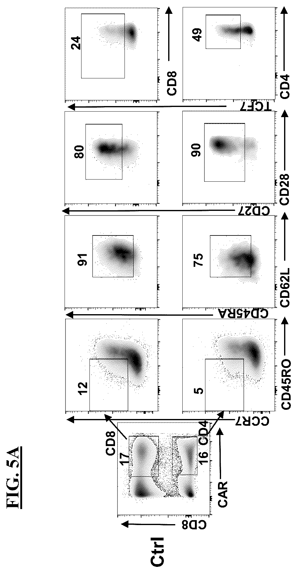 Patent US12365871 Figure 13 – Methods for culturing cells
