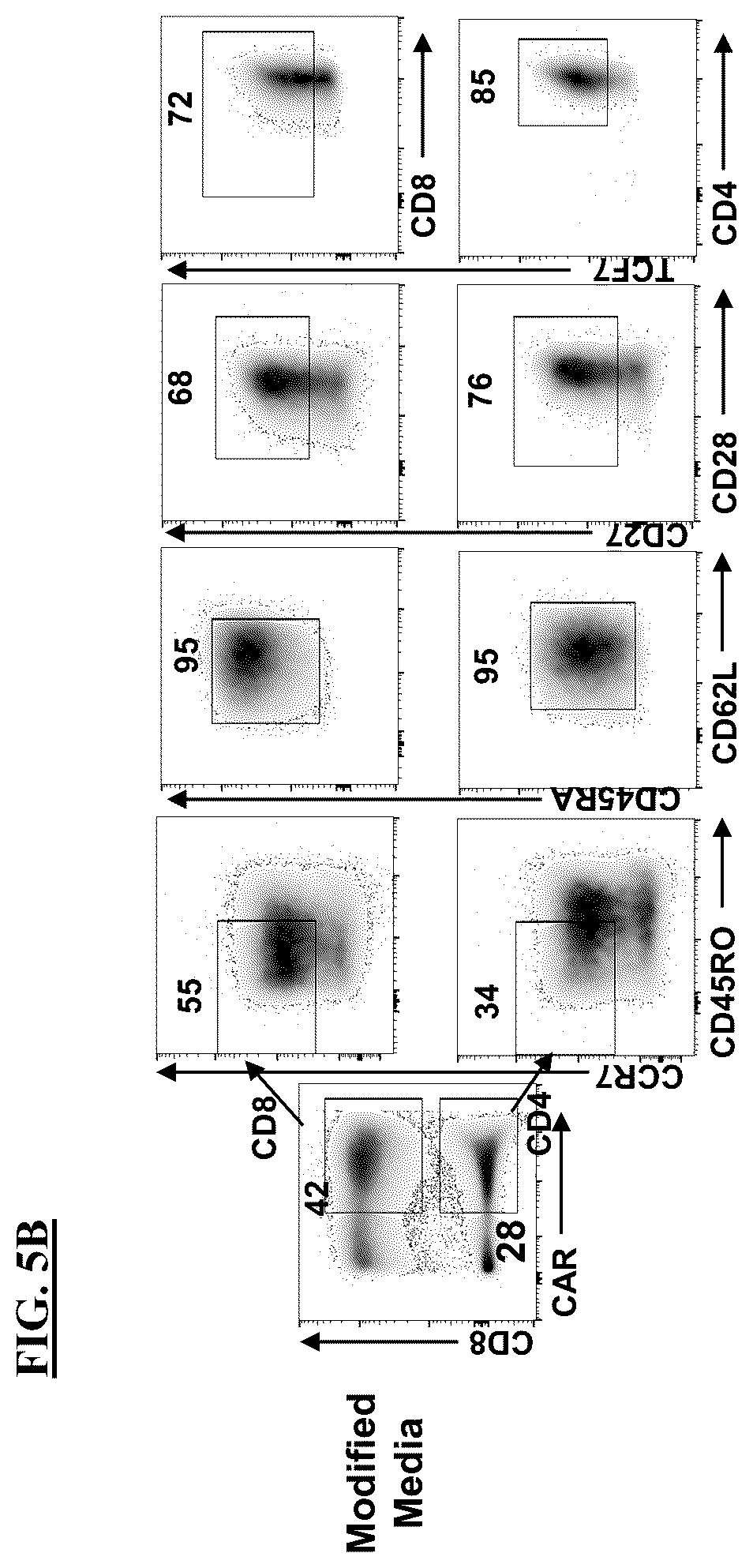 Patent US12365871 Figure 14 – Methods for culturing cells