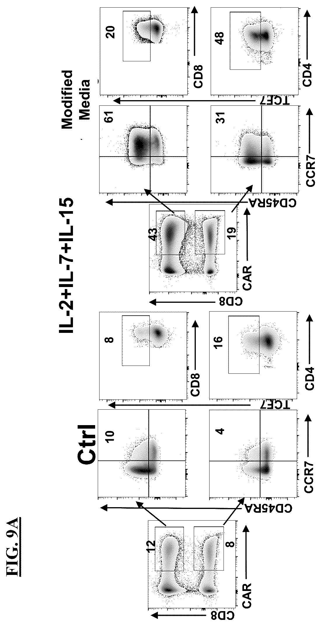 Patent US12365871 Figure 20 – Methods for culturing cells