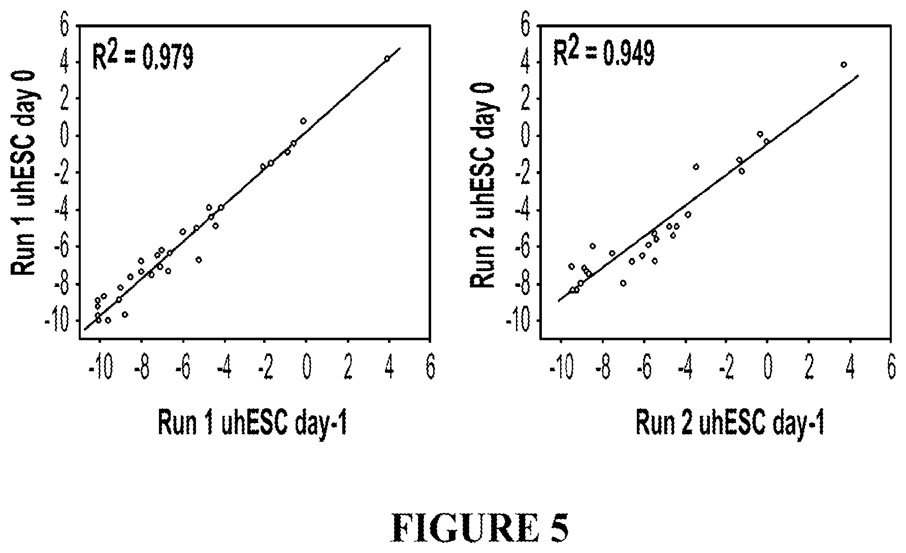 Patent US12365872 Figure 5 – Methods for differentiating pluripotent stem cells in dynamic suspension culture
