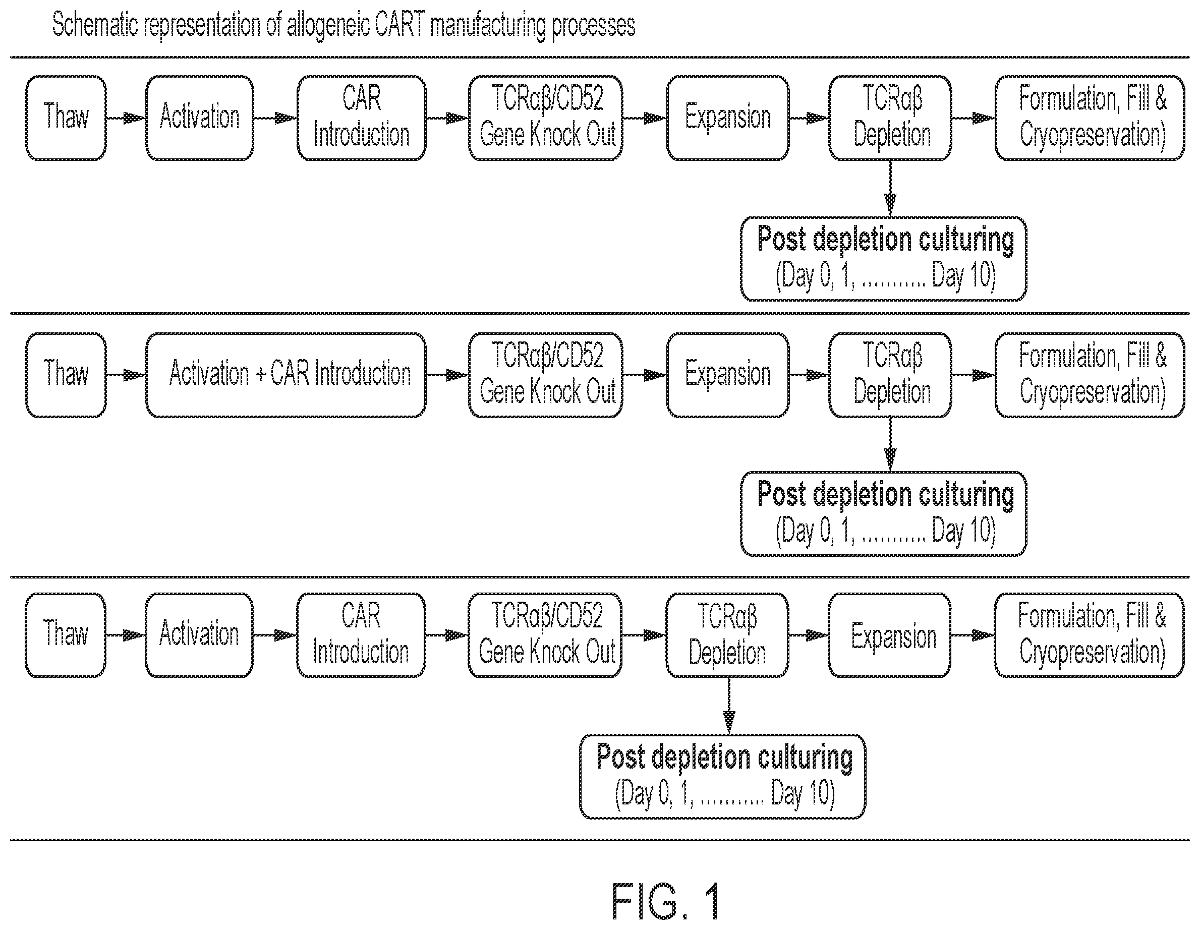 Patent US12365873 Figure 1 – Methods for transducing immune cells