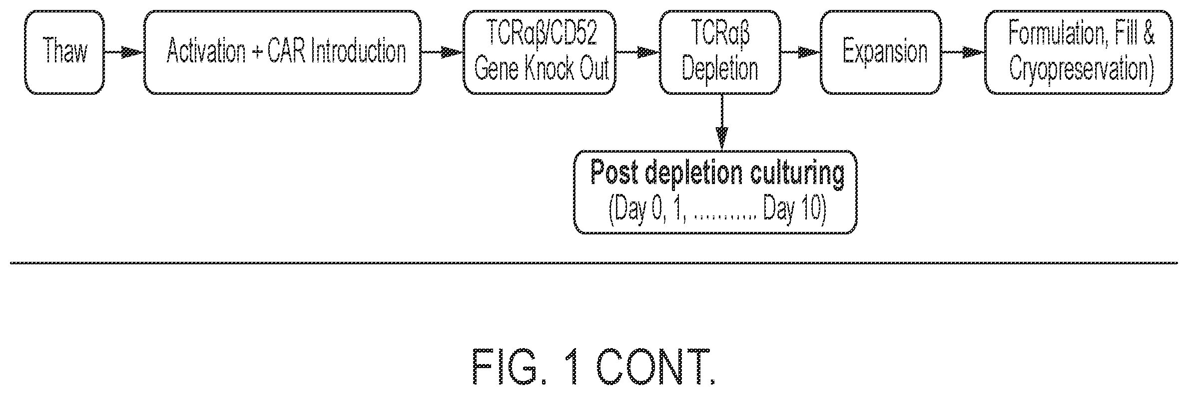 Patent US12365873 Figure 2 – Methods for transducing immune cells
