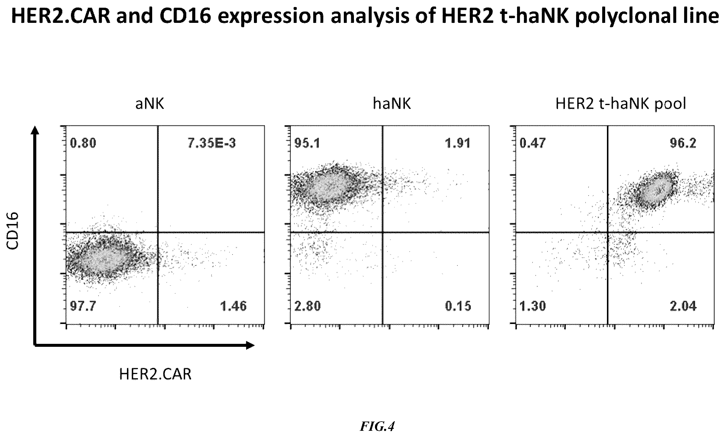 Patent US12365874 Figure 4 – Chimeric antigen receptor-modified NK-92 cells targeting EGFR super-family receptors