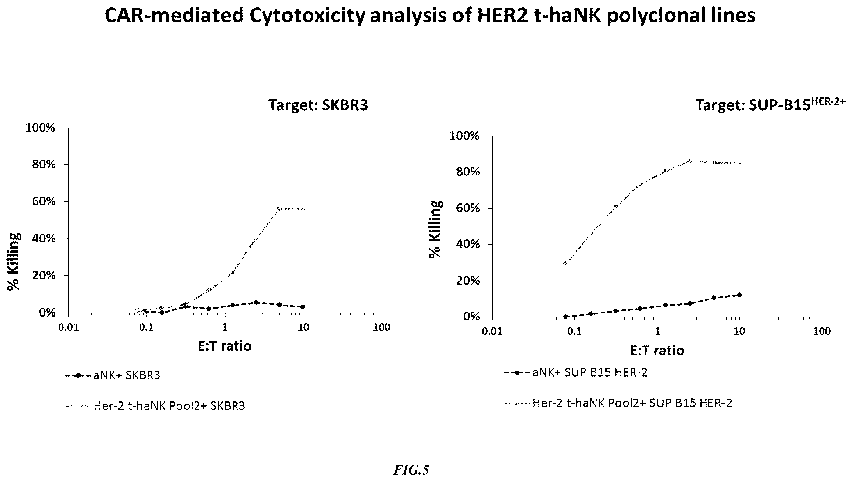 Patent US12365874 Figure 5 – Chimeric antigen receptor-modified NK-92 cells targeting EGFR super-family receptors