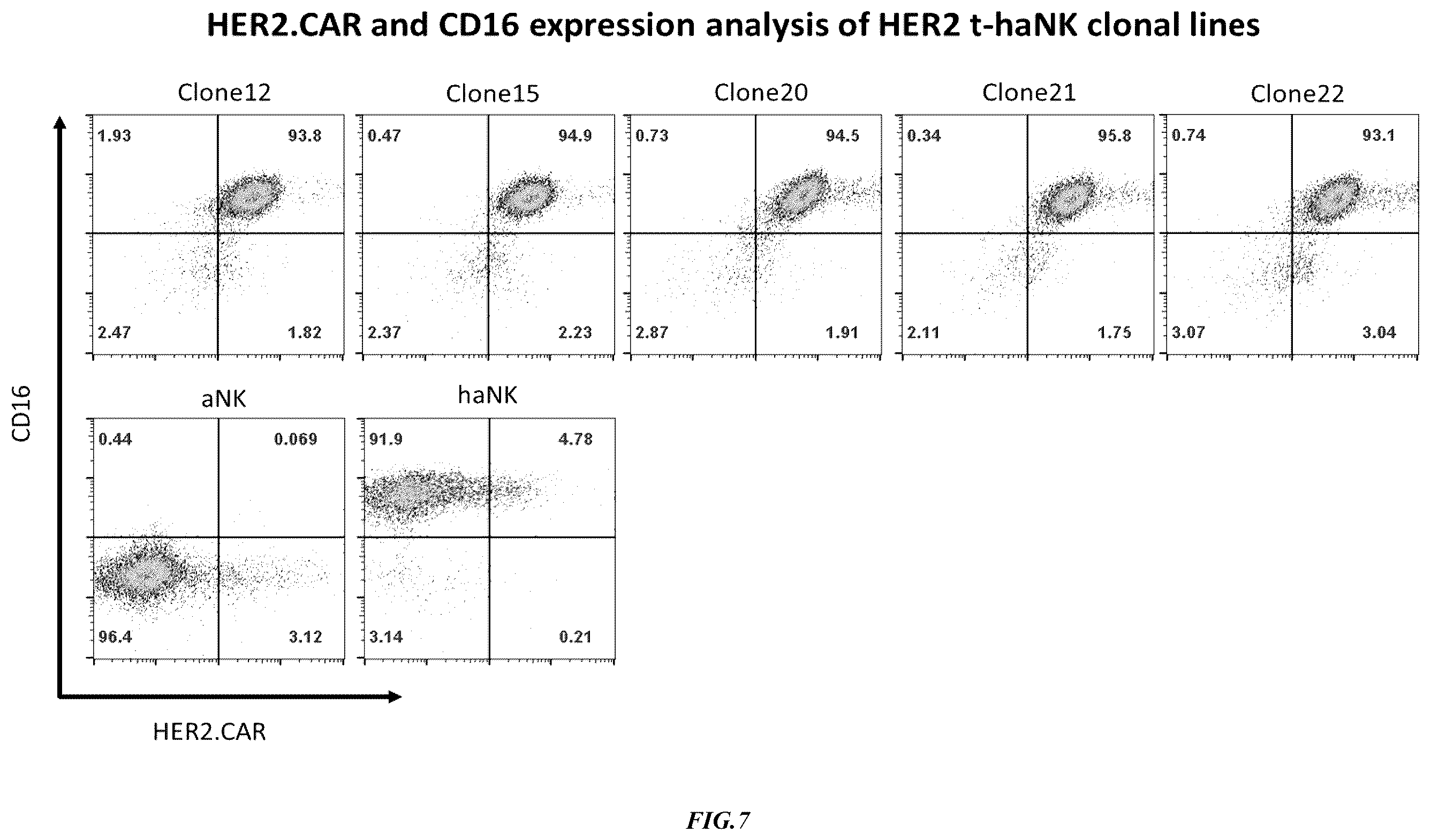 Patent US12365874 Figure 7 – Chimeric antigen receptor-modified NK-92 cells targeting EGFR super-family receptors