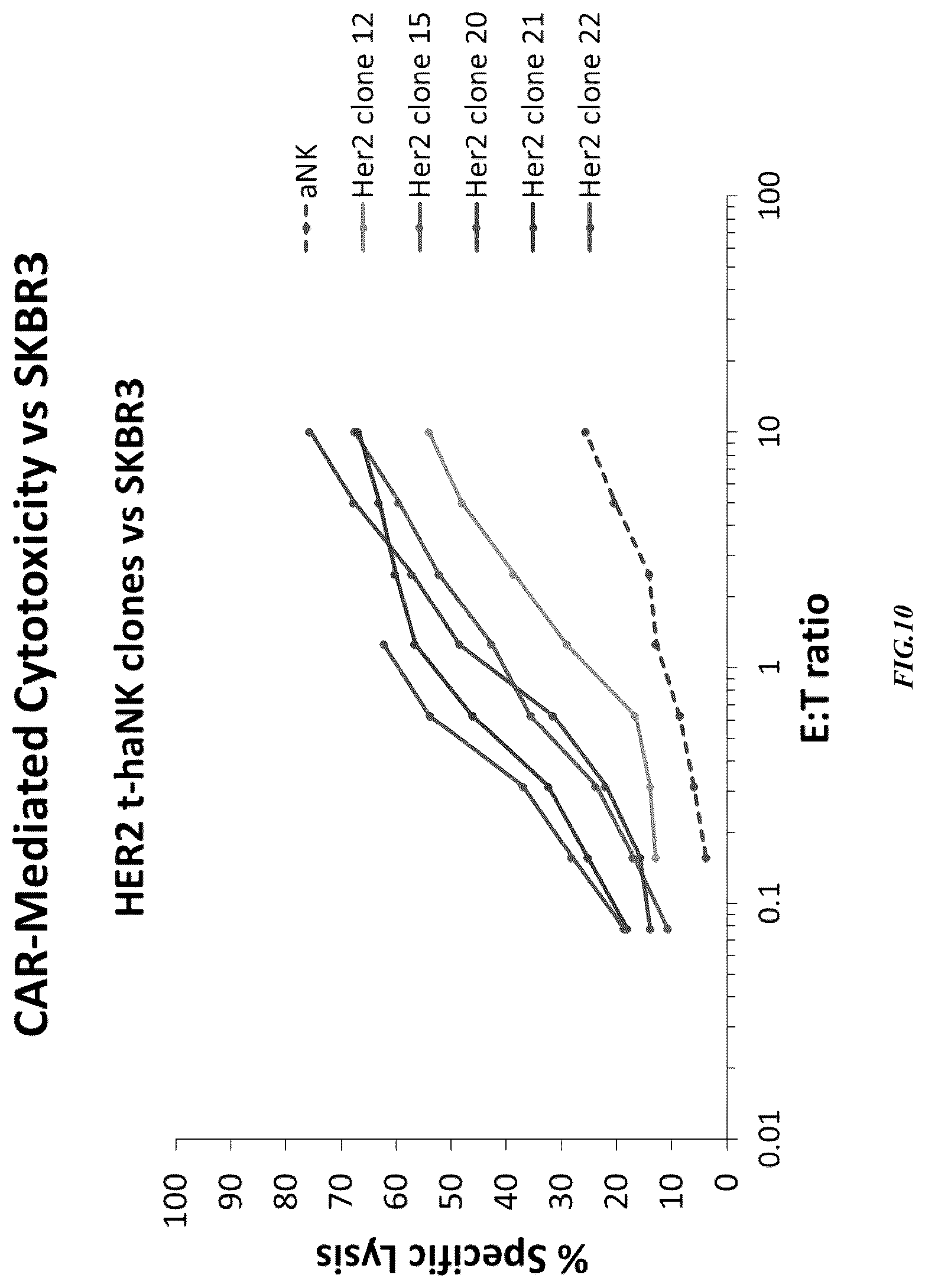 Patent US12365874 Figure 10 – Chimeric antigen receptor-modified NK-92 cells targeting EGFR super-family receptors