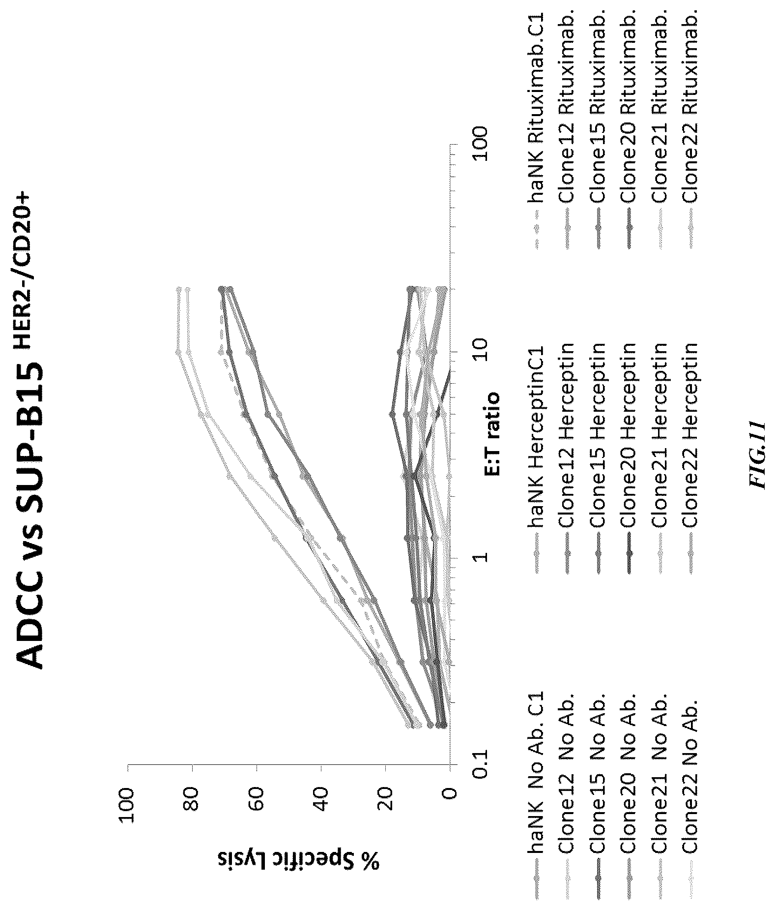 Patent US12365874 Figure 11 – Chimeric antigen receptor-modified NK-92 cells targeting EGFR super-family receptors