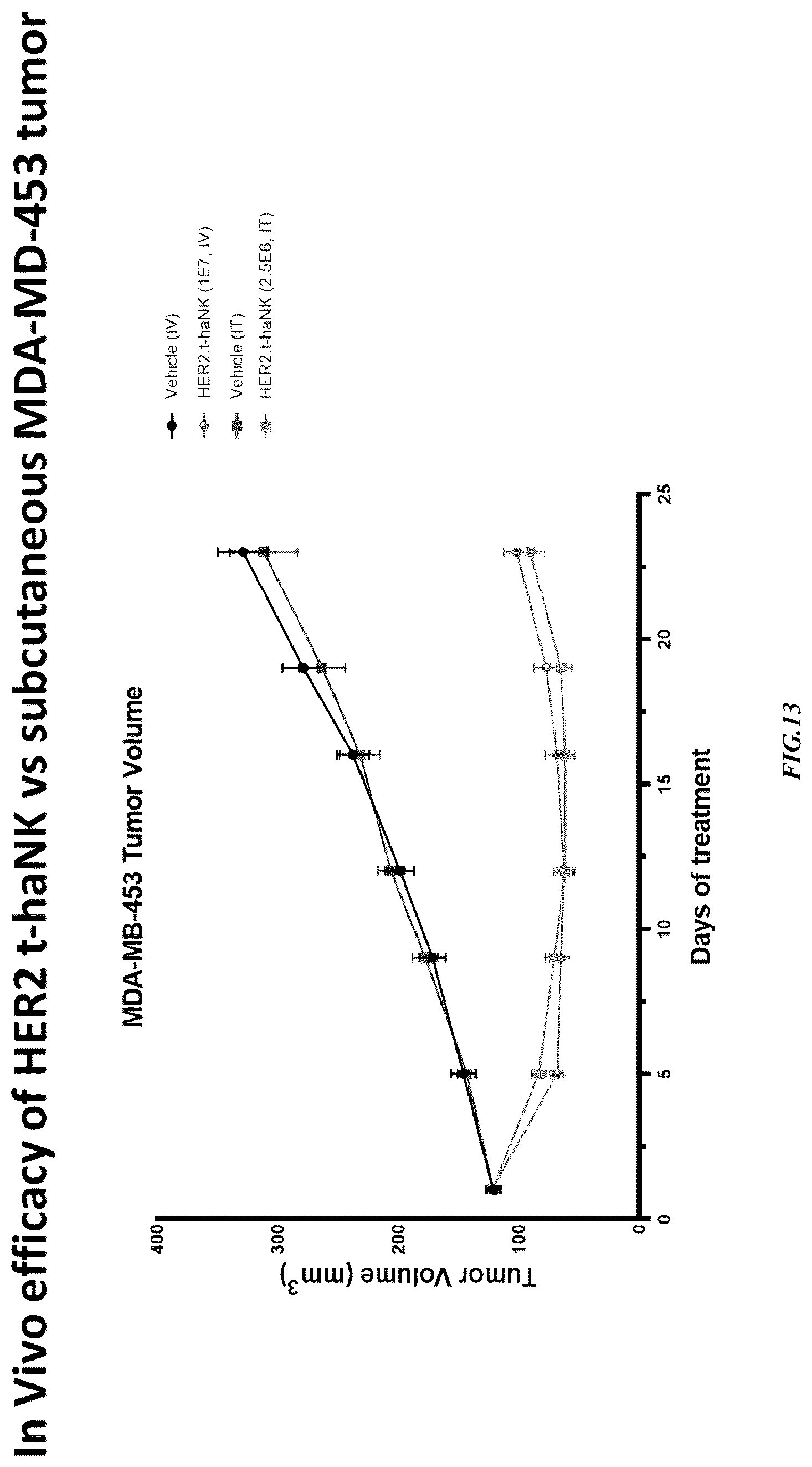 Patent US12365874 Figure 13 – Chimeric antigen receptor-modified NK-92 cells targeting EGFR super-family receptors