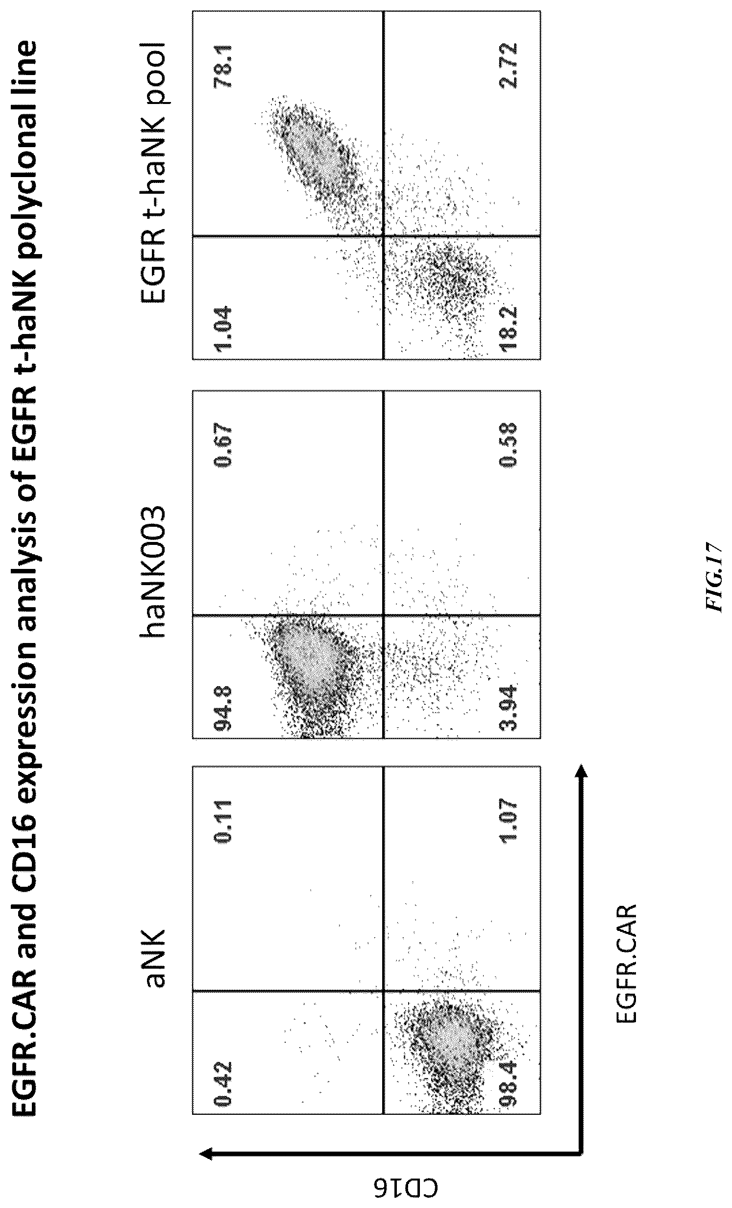 Patent US12365874 Figure 17 – Chimeric antigen receptor-modified NK-92 cells targeting EGFR super-family receptors