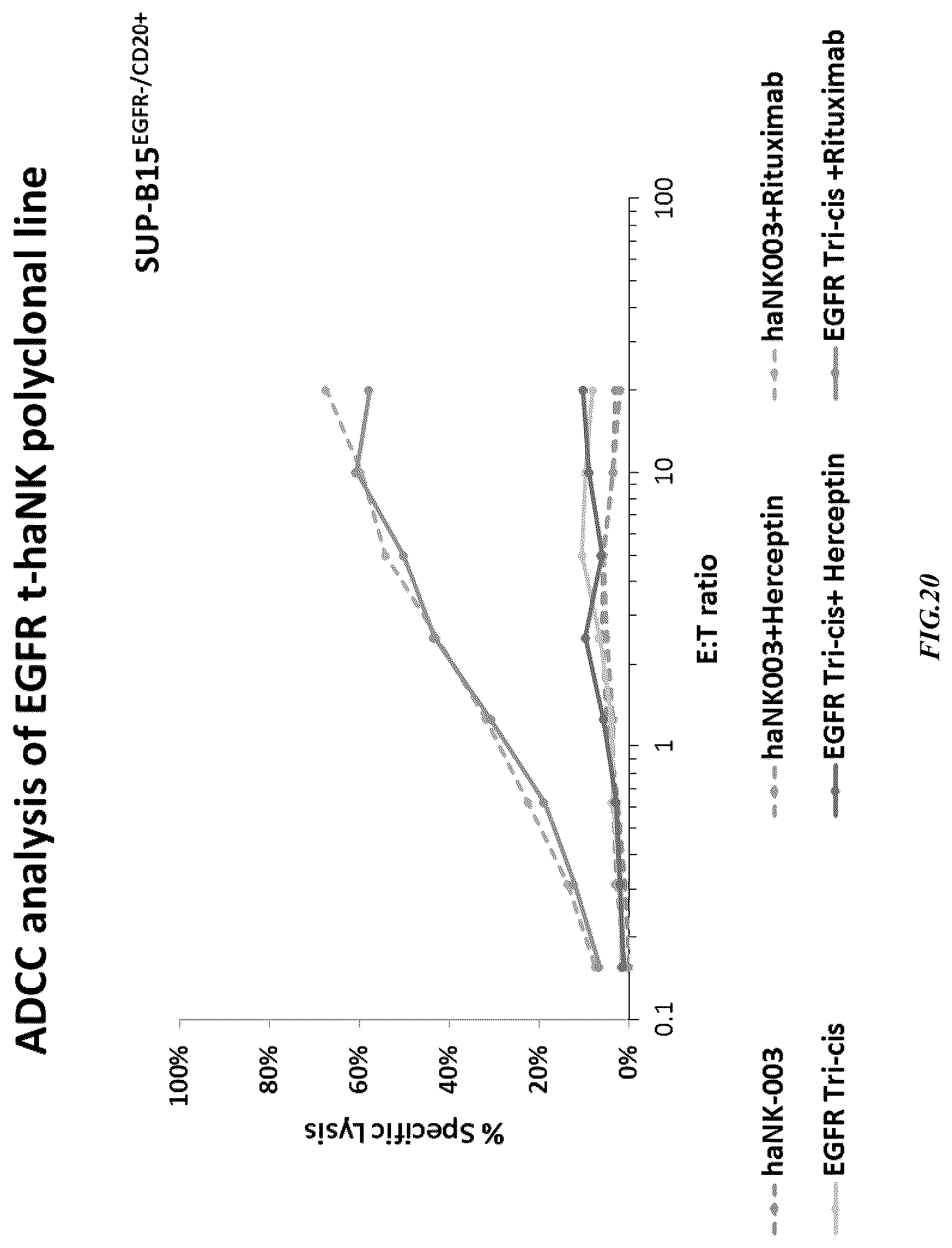Patent US12365874 Figure 20 – Chimeric antigen receptor-modified NK-92 cells targeting EGFR super-family receptors