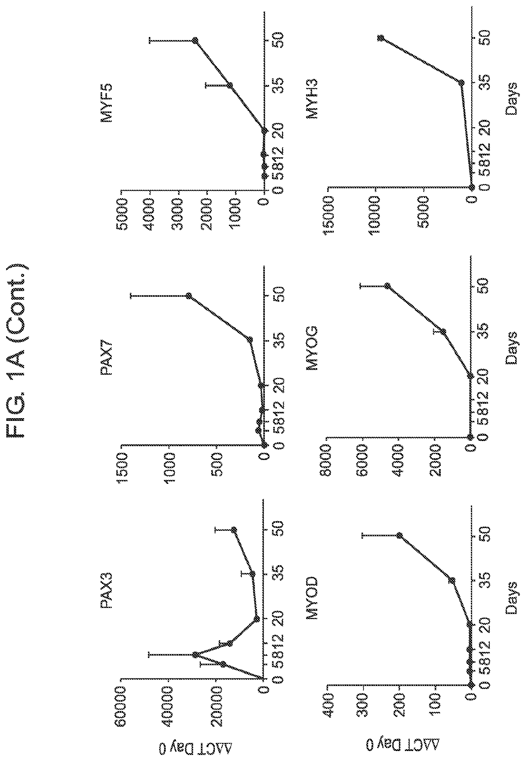 Patent US12365875 Figure 2 – Methods for generating skeletal muscle progenitor cells