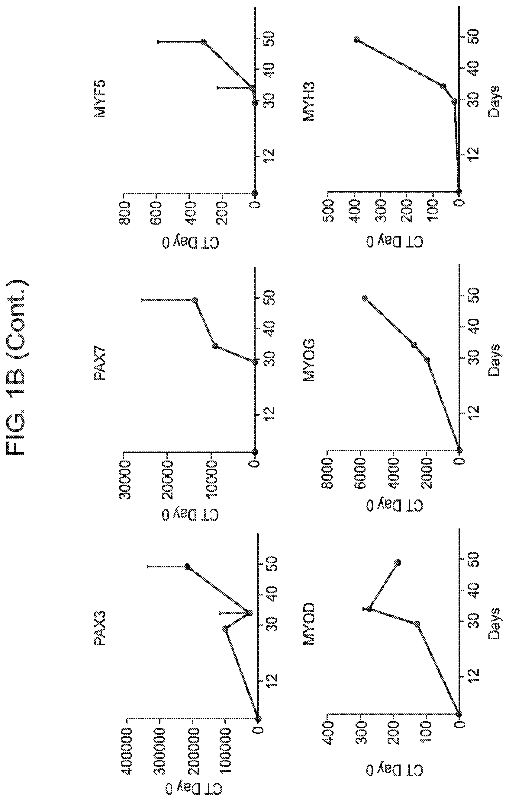 Patent US12365875 Figure 4 – Methods for generating skeletal muscle progenitor cells
