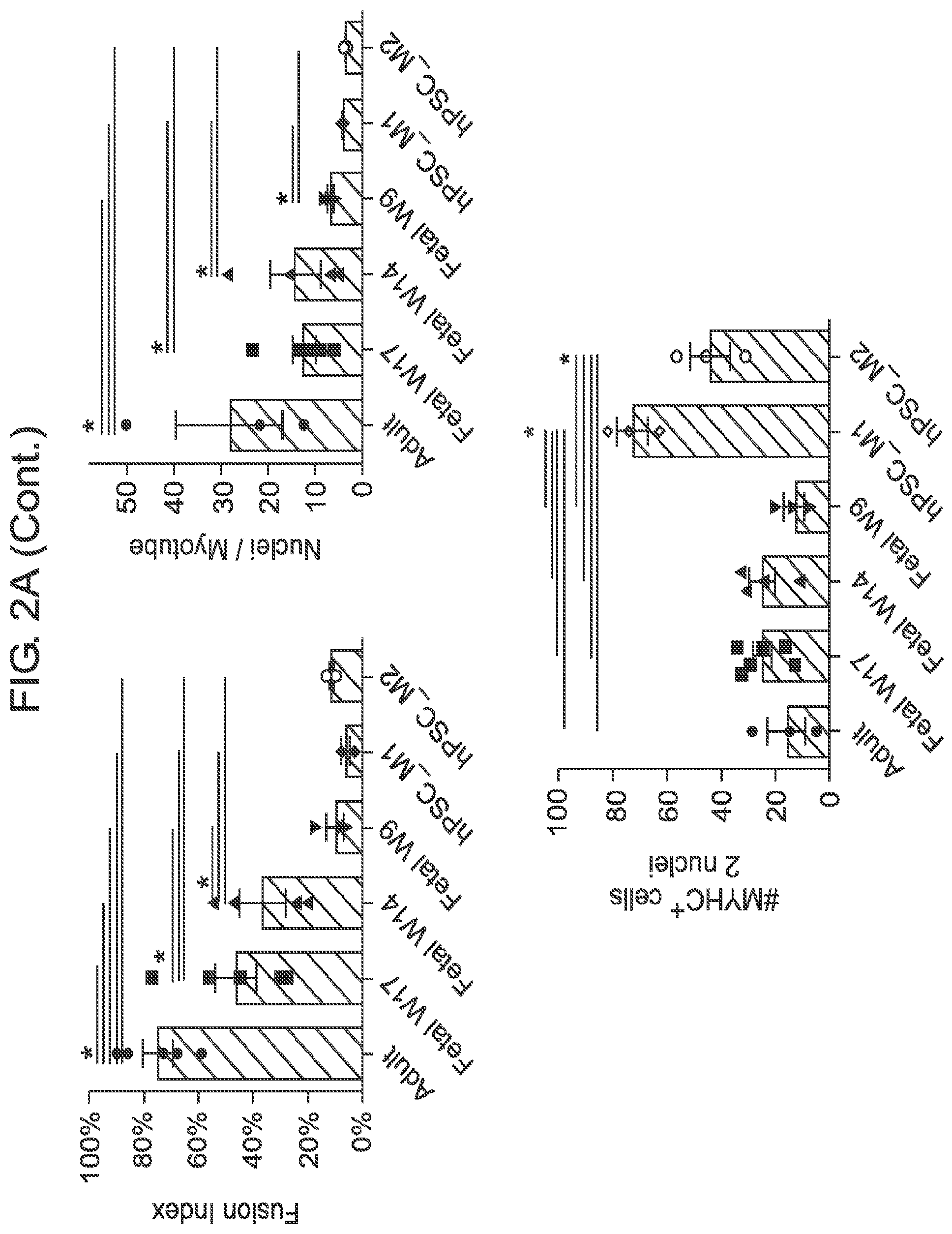 Patent US12365875 Figure 6 – Methods for generating skeletal muscle progenitor cells
