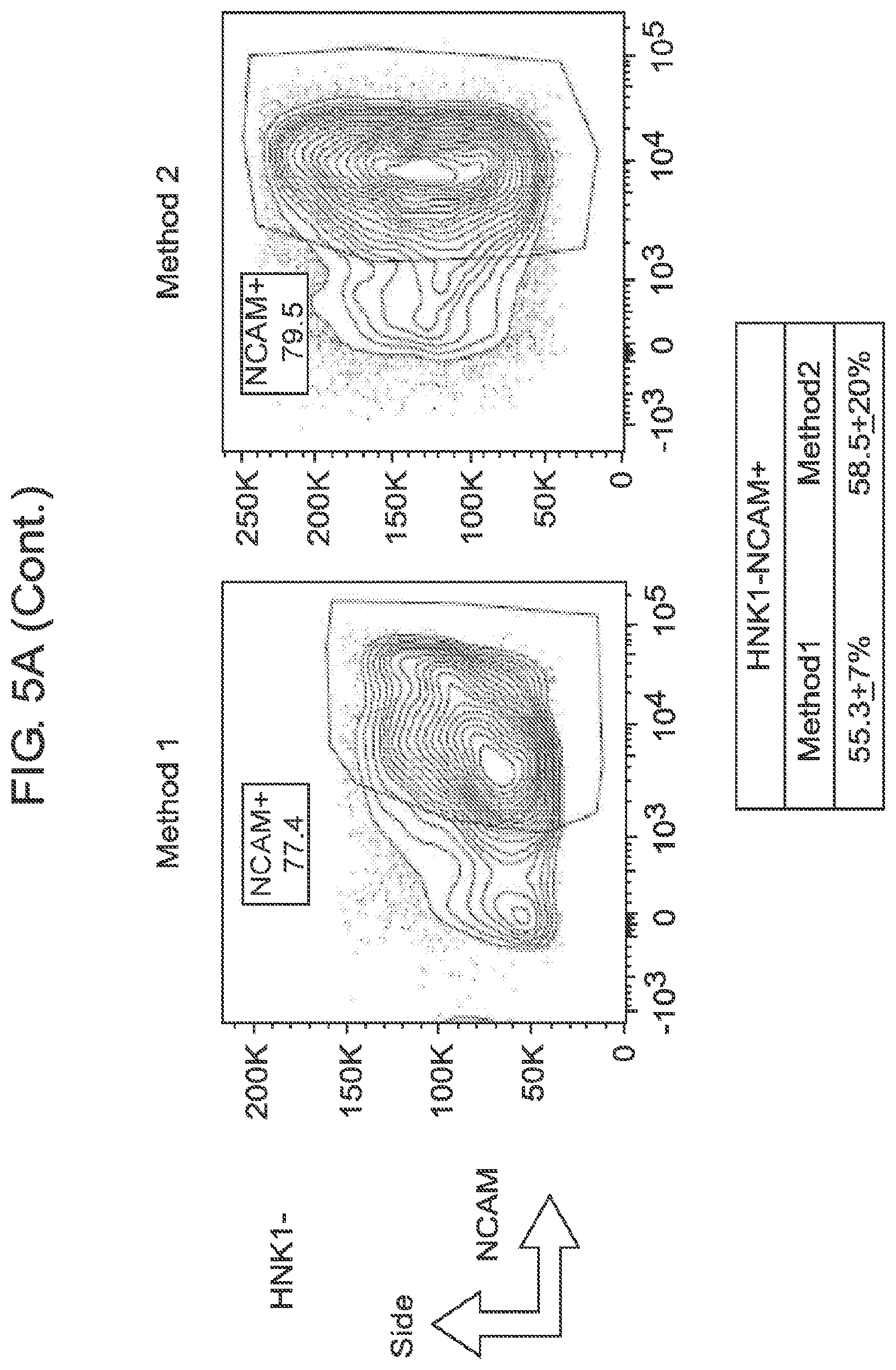 Patent US12365875 Figure 13 – Methods for generating skeletal muscle progenitor cells