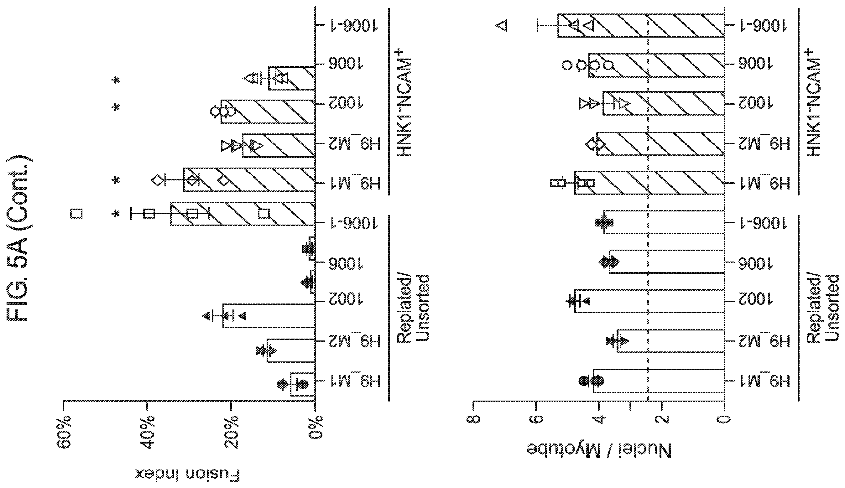 Patent US12365875 Figure 16 – Methods for generating skeletal muscle progenitor cells