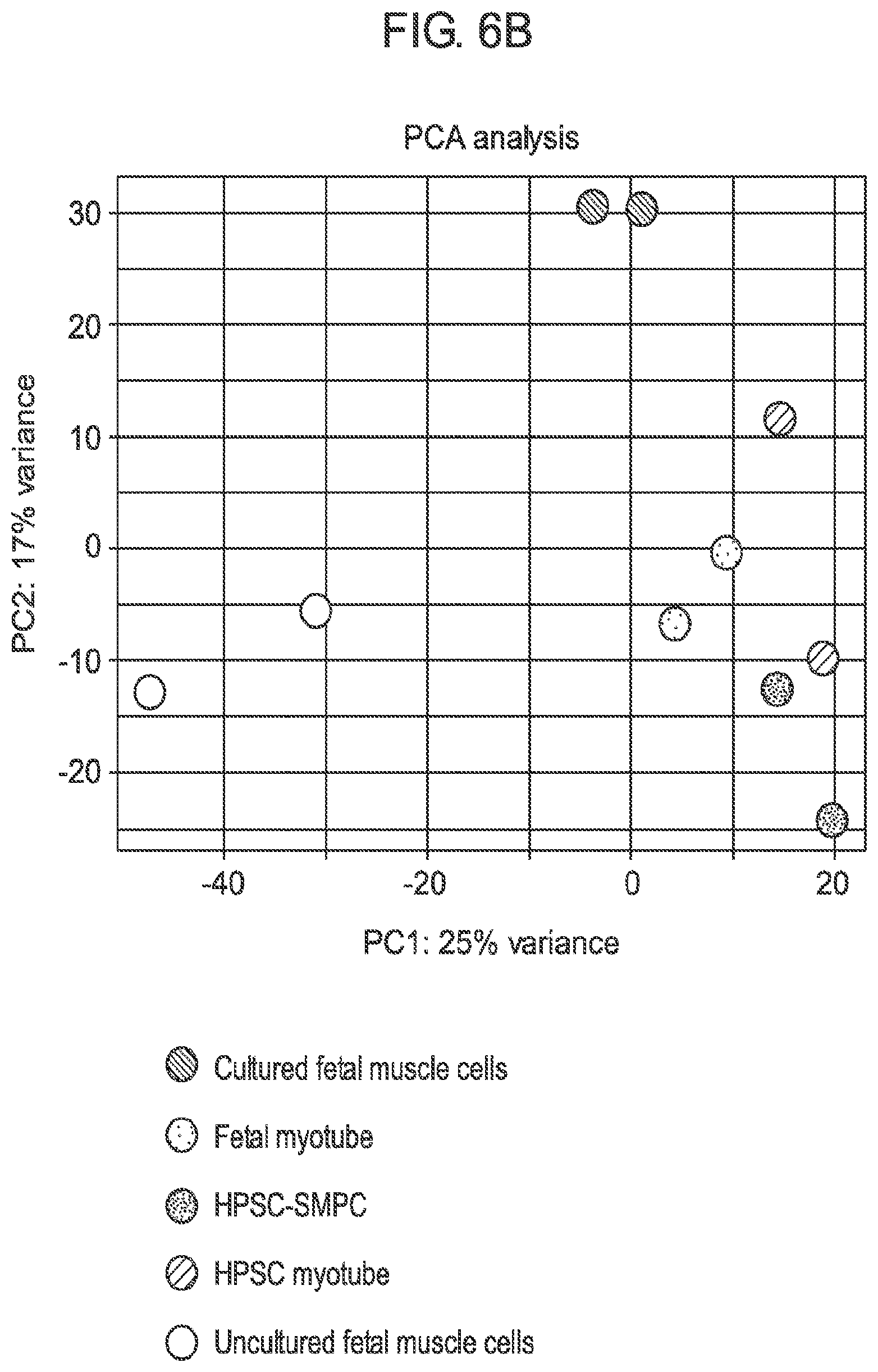 Patent US12365875 Figure 20 – Methods for generating skeletal muscle progenitor cells