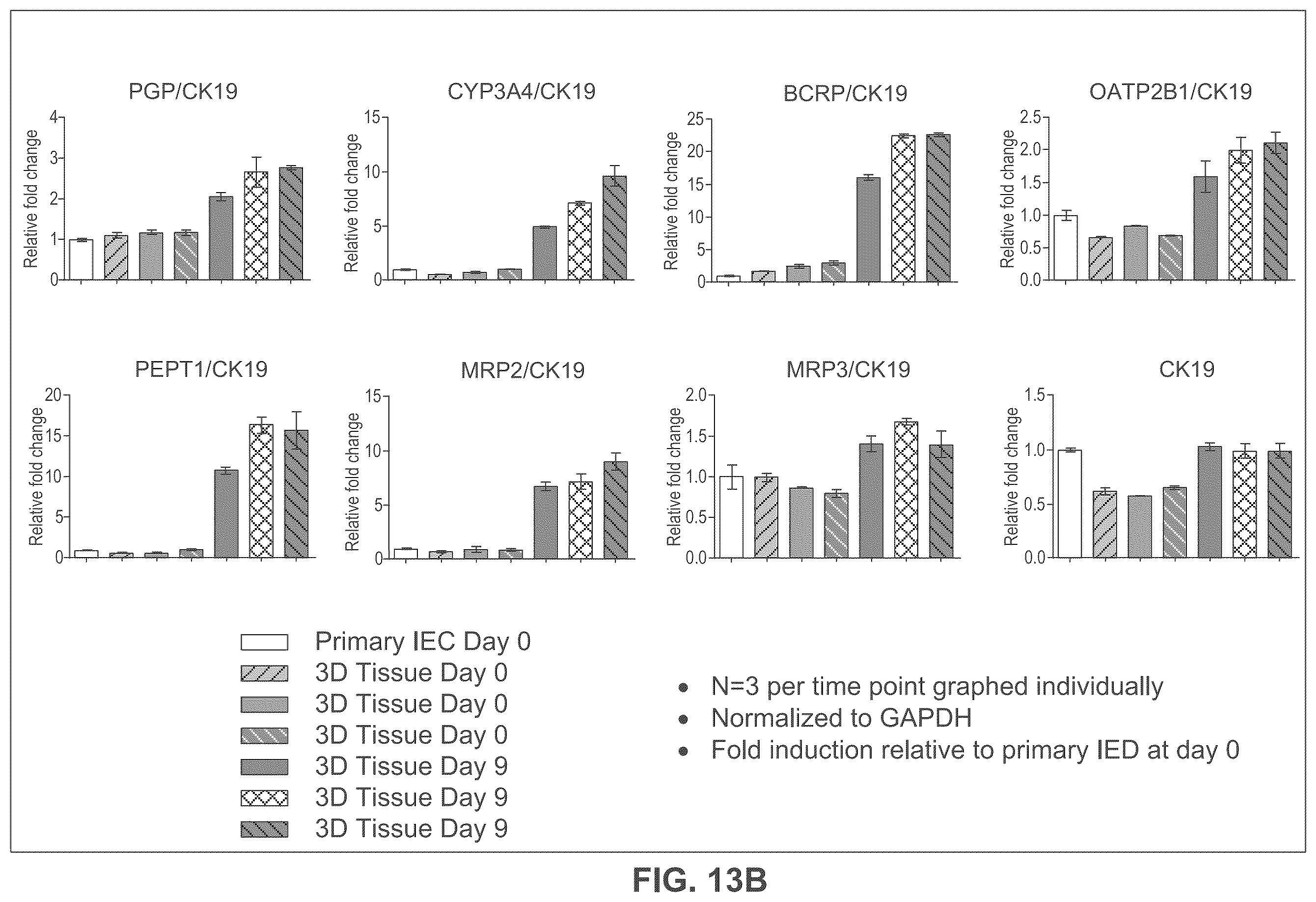 Patent US12365877 Figure 17 – Engineered intestinal tissue and uses thereof