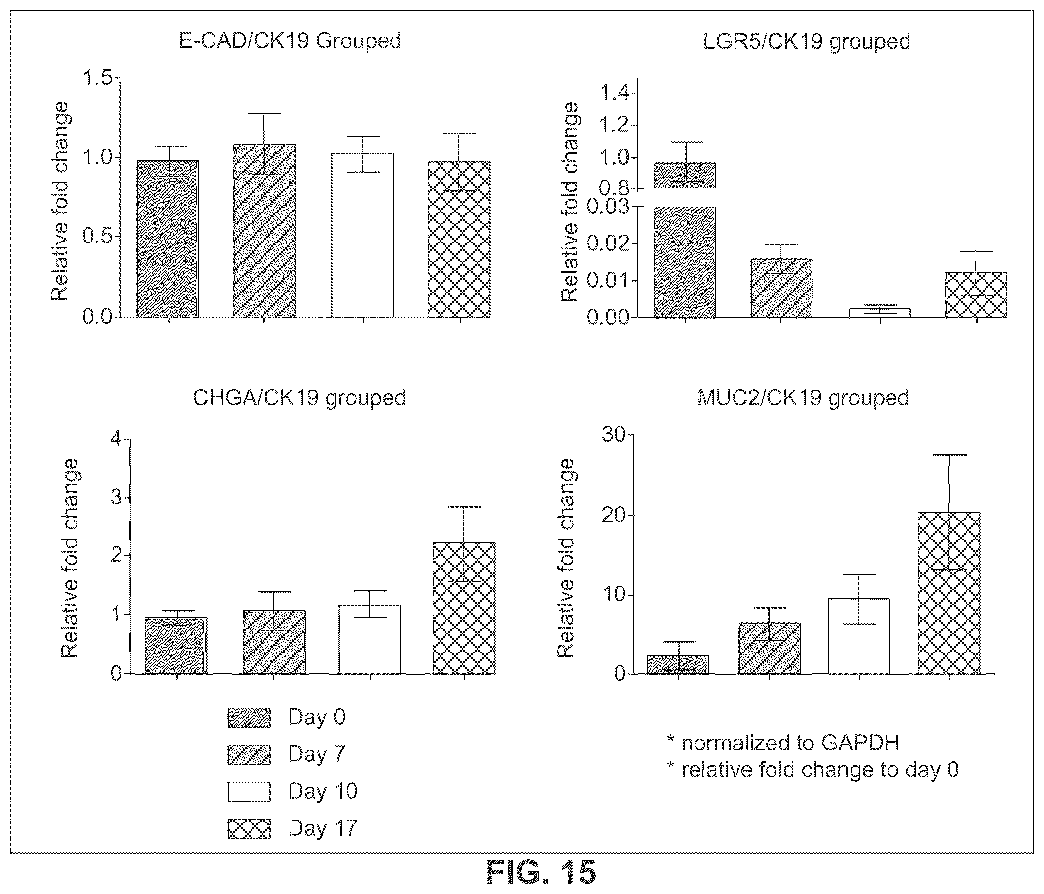 Patent US12365877 Figure 19 – Engineered intestinal tissue and uses thereof