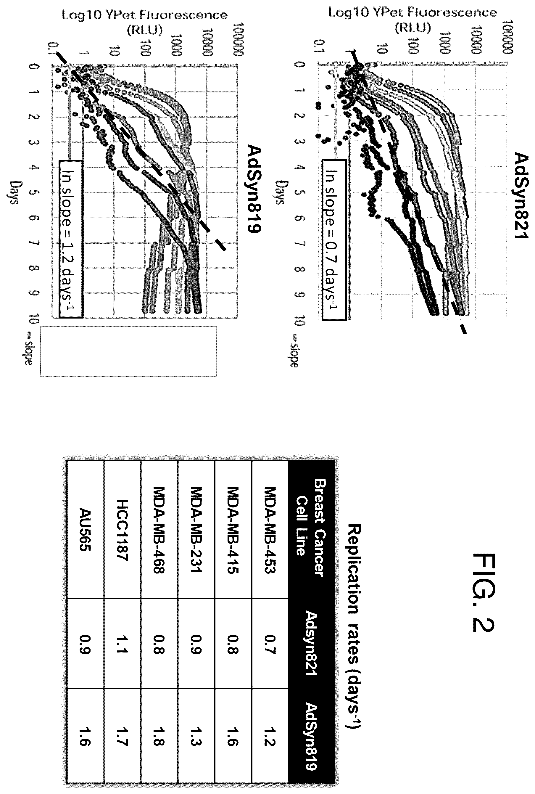 Patent US12365878 Figure 2 – Oncolytic adenovirus with enhanced replication properties comprising modifications in E1A, E3, and E4