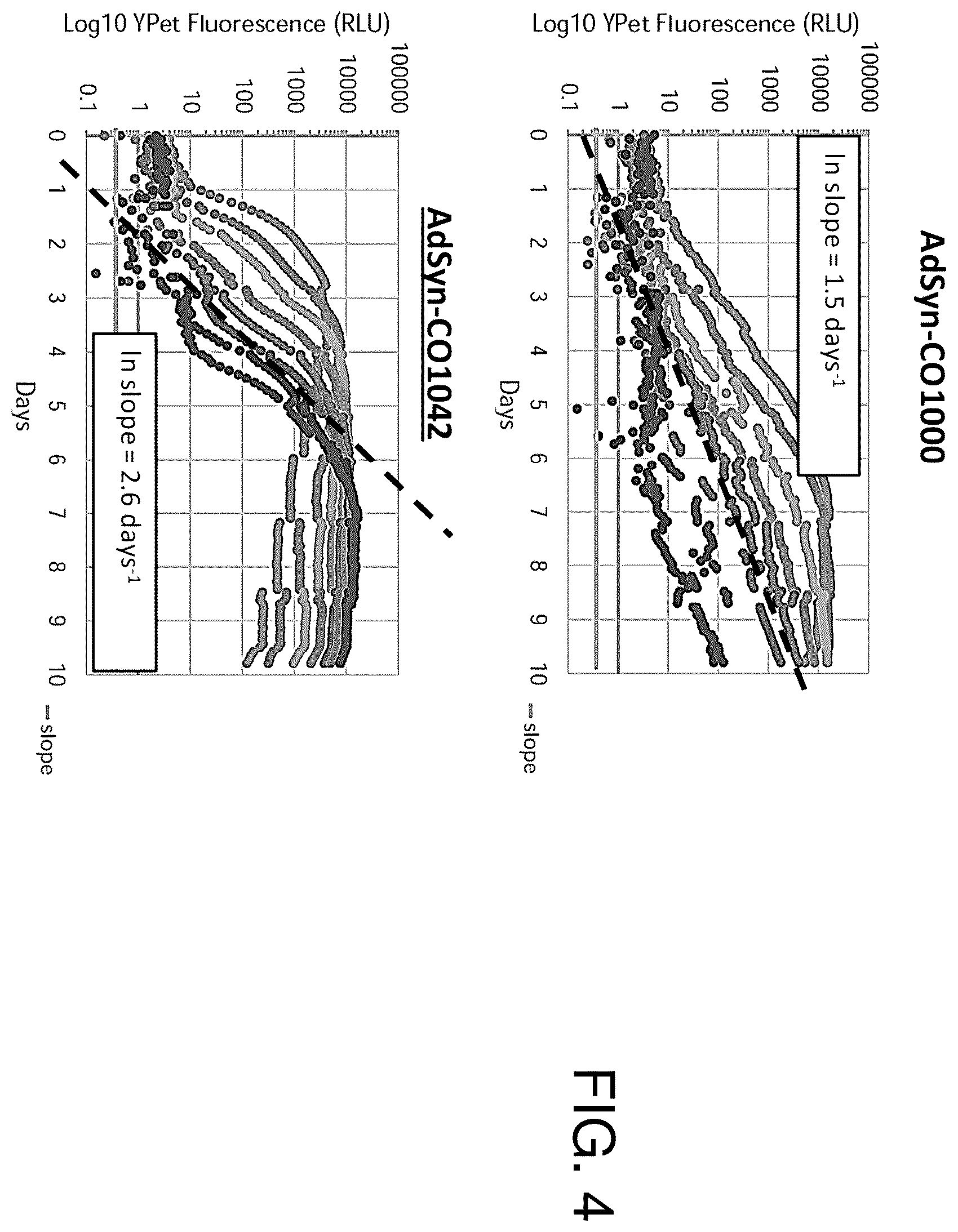 Patent US12365878 Figure 4 – Oncolytic adenovirus with enhanced replication properties comprising modifications in E1A, E3, and E4