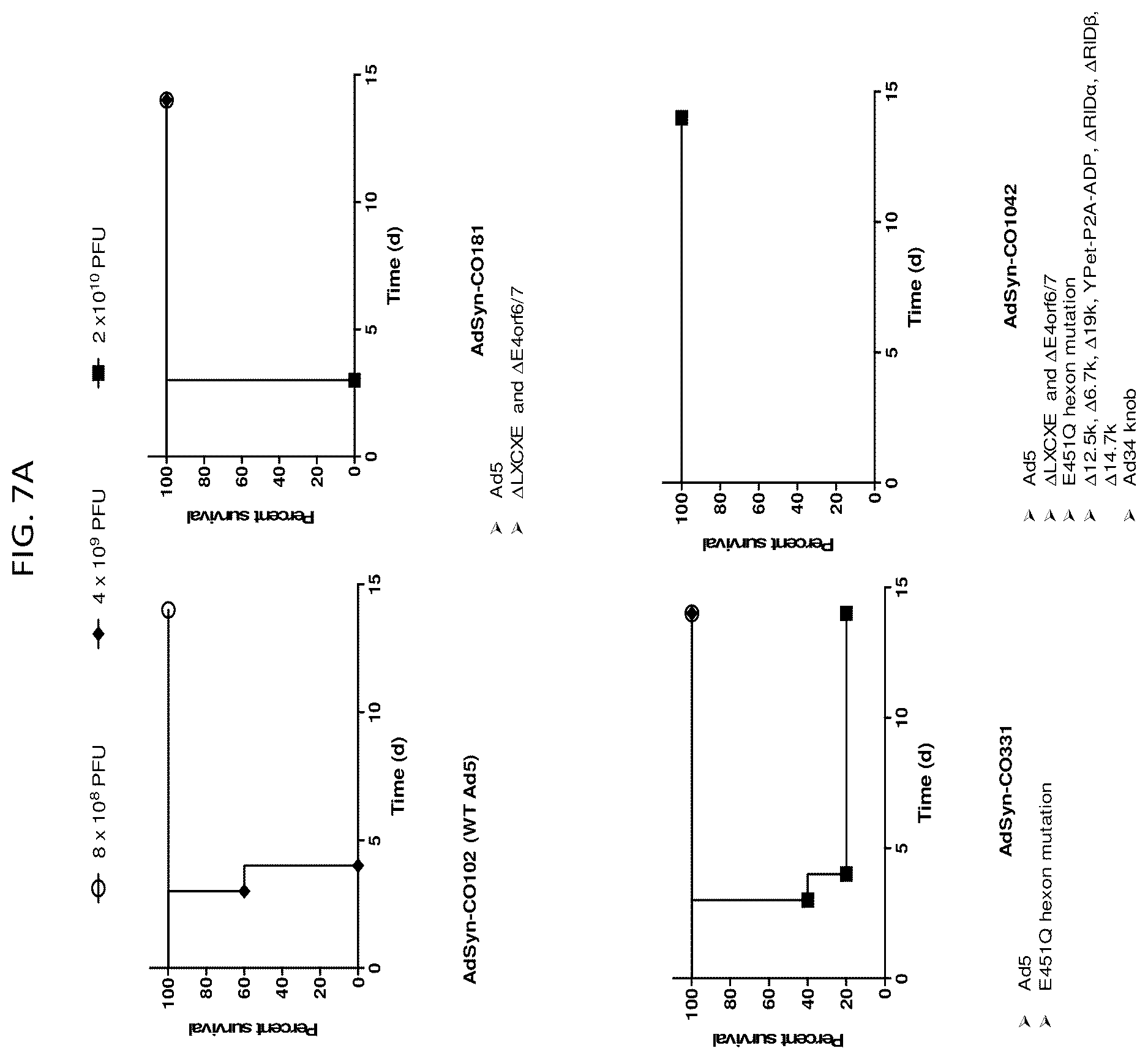 Patent US12365878 Figure 8 – Oncolytic adenovirus with enhanced replication properties comprising modifications in E1A, E3, and E4