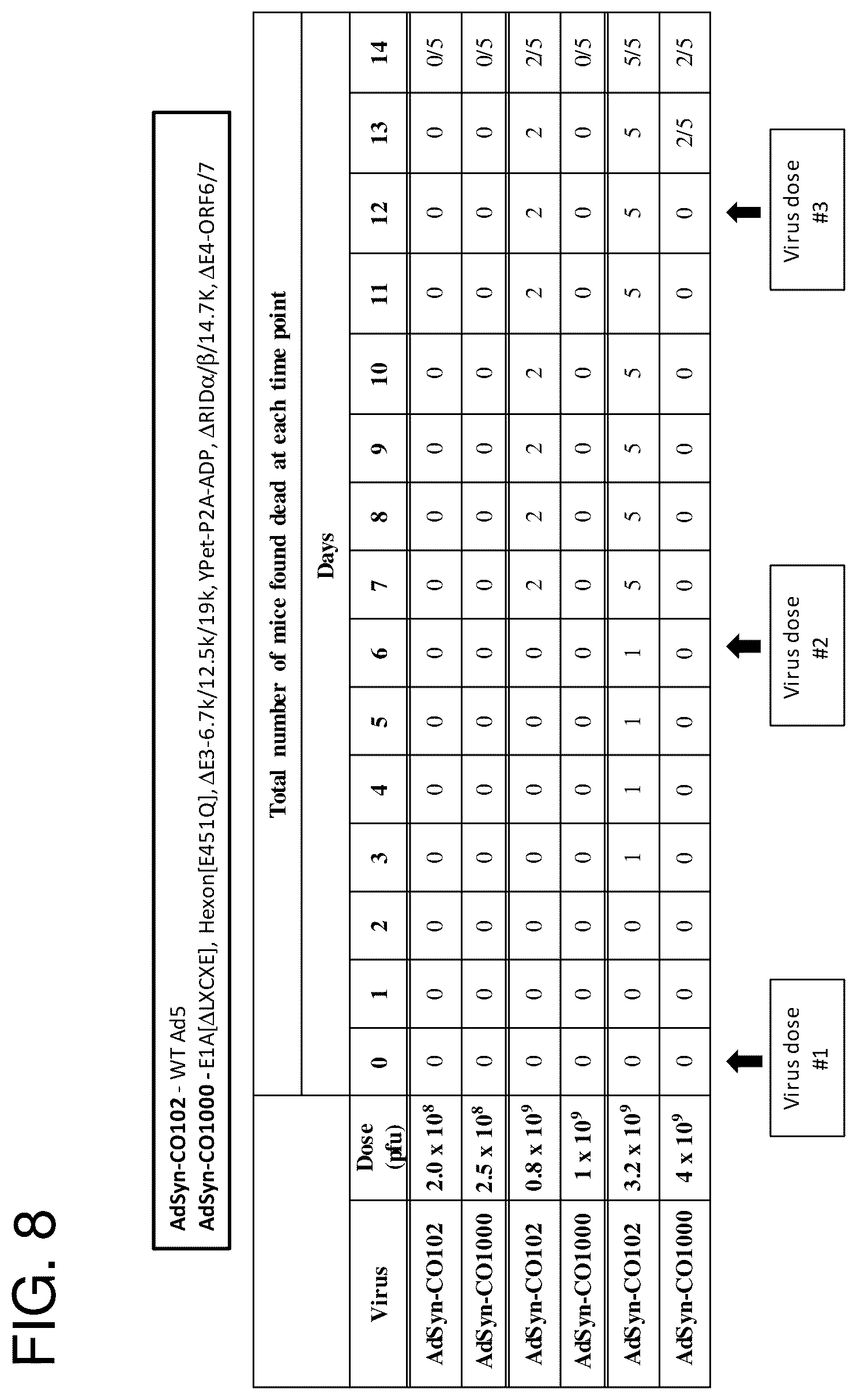 Patent US12365878 Figure 10 – Oncolytic adenovirus with enhanced replication properties comprising modifications in E1A, E3, and E4